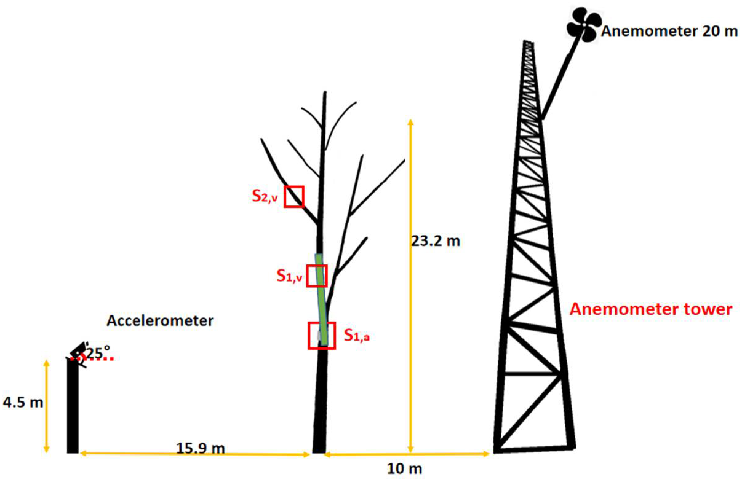 Forests 13 00081 g001