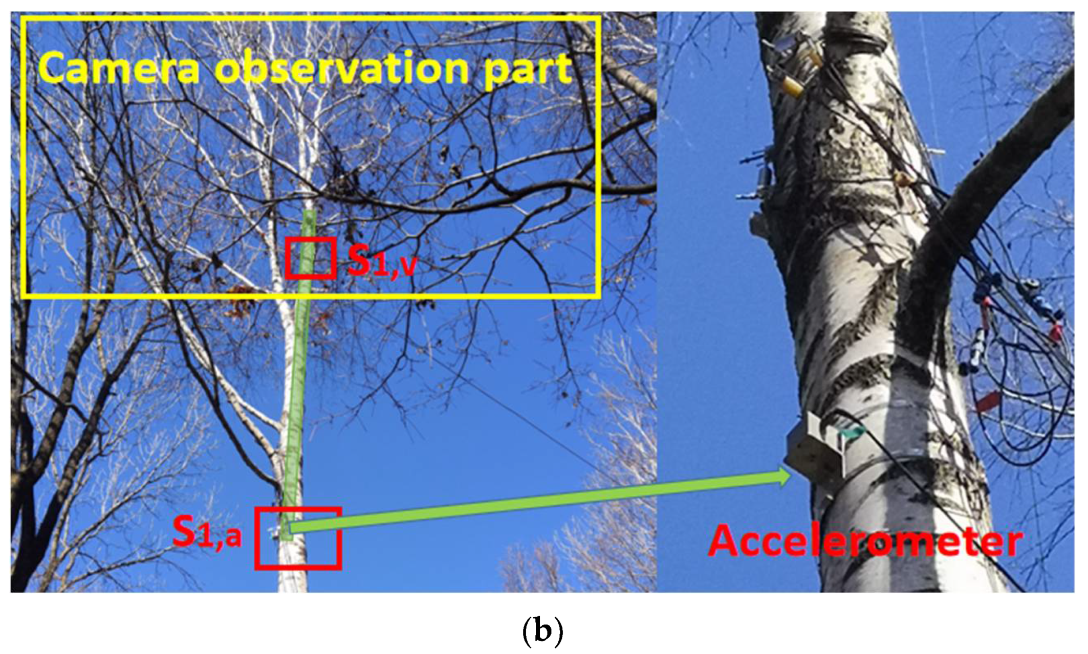 Forests 13 00081 g002b