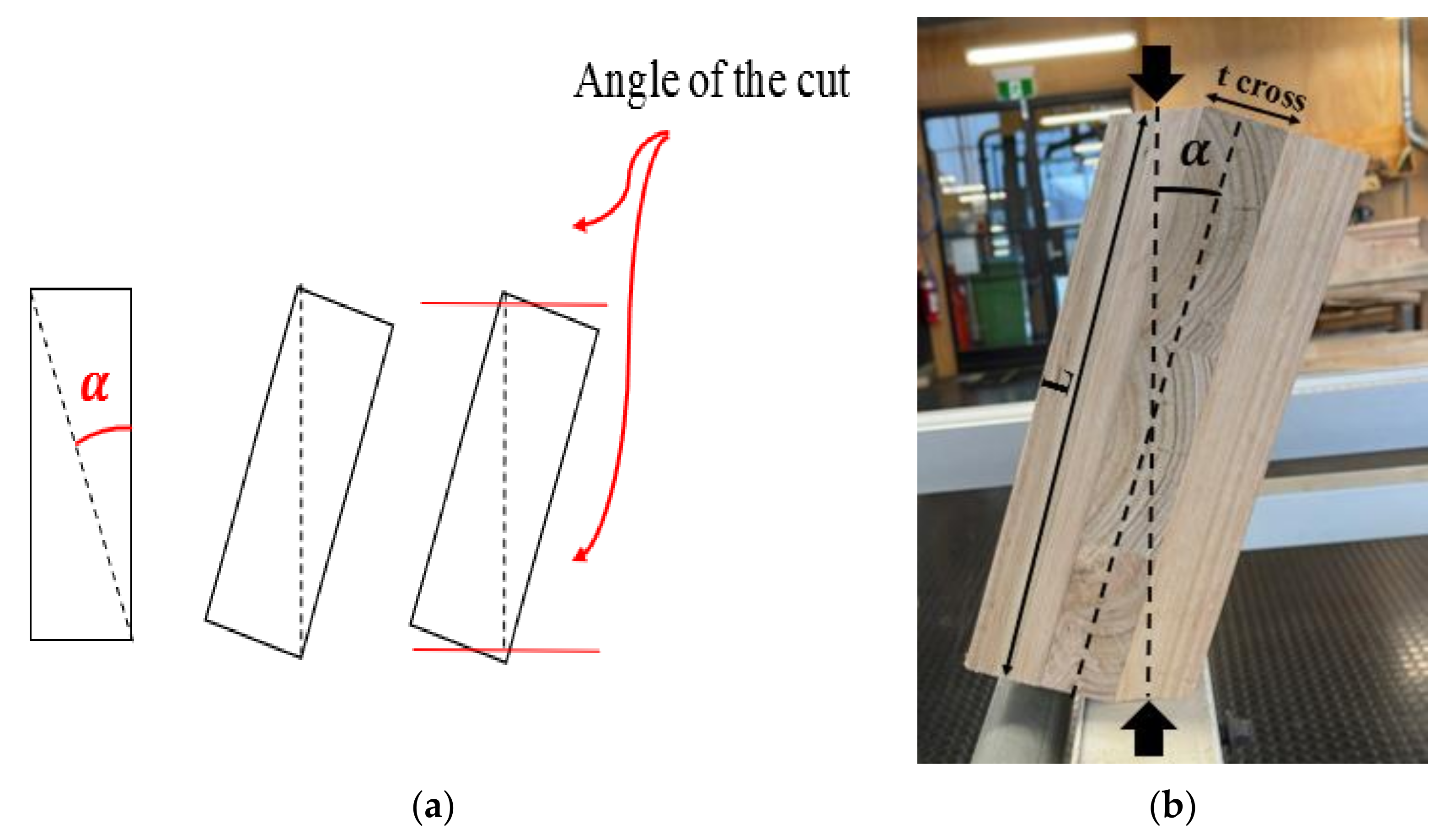 Forests 13 00084 g001a