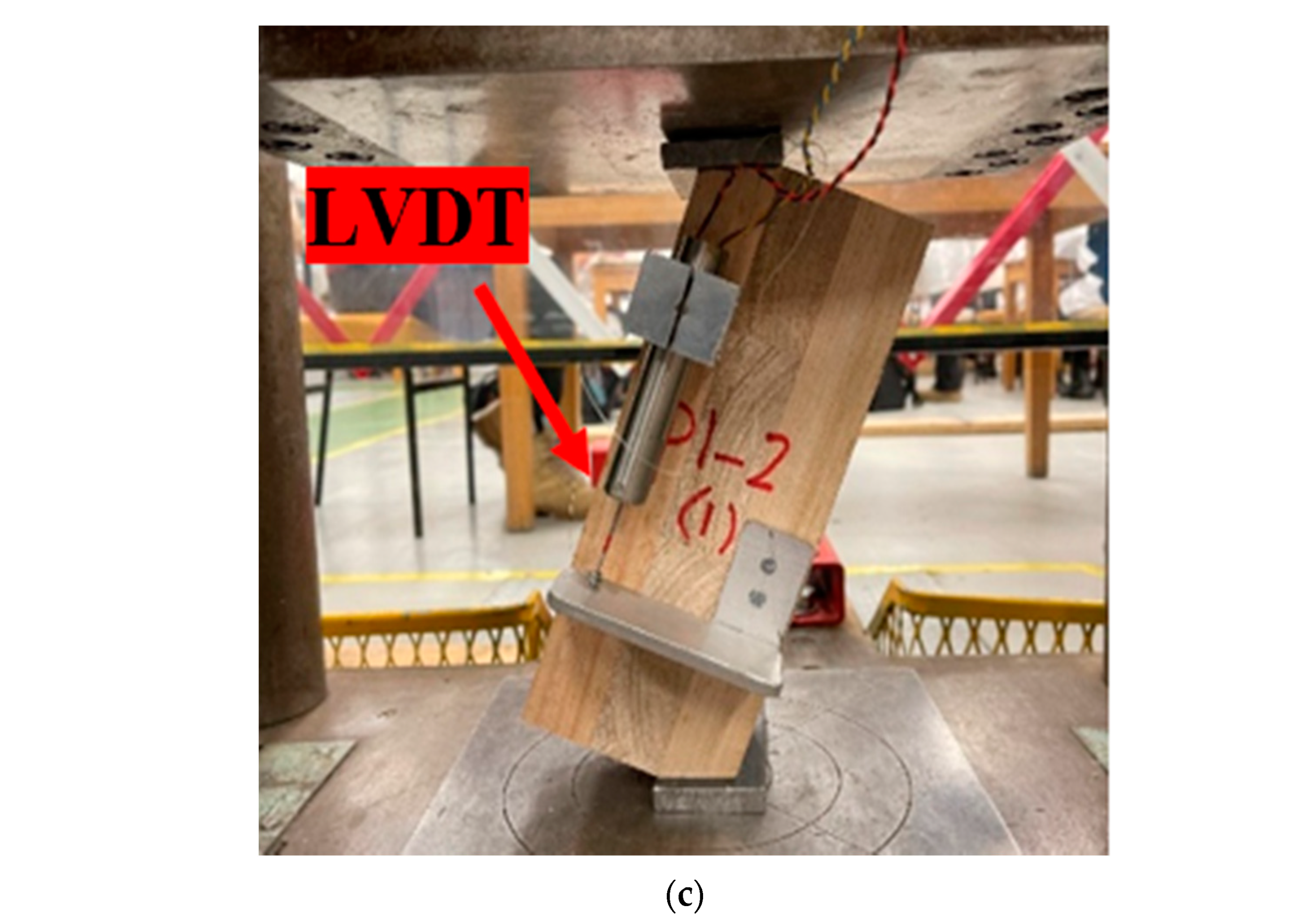 Forests 13 00084 g001b