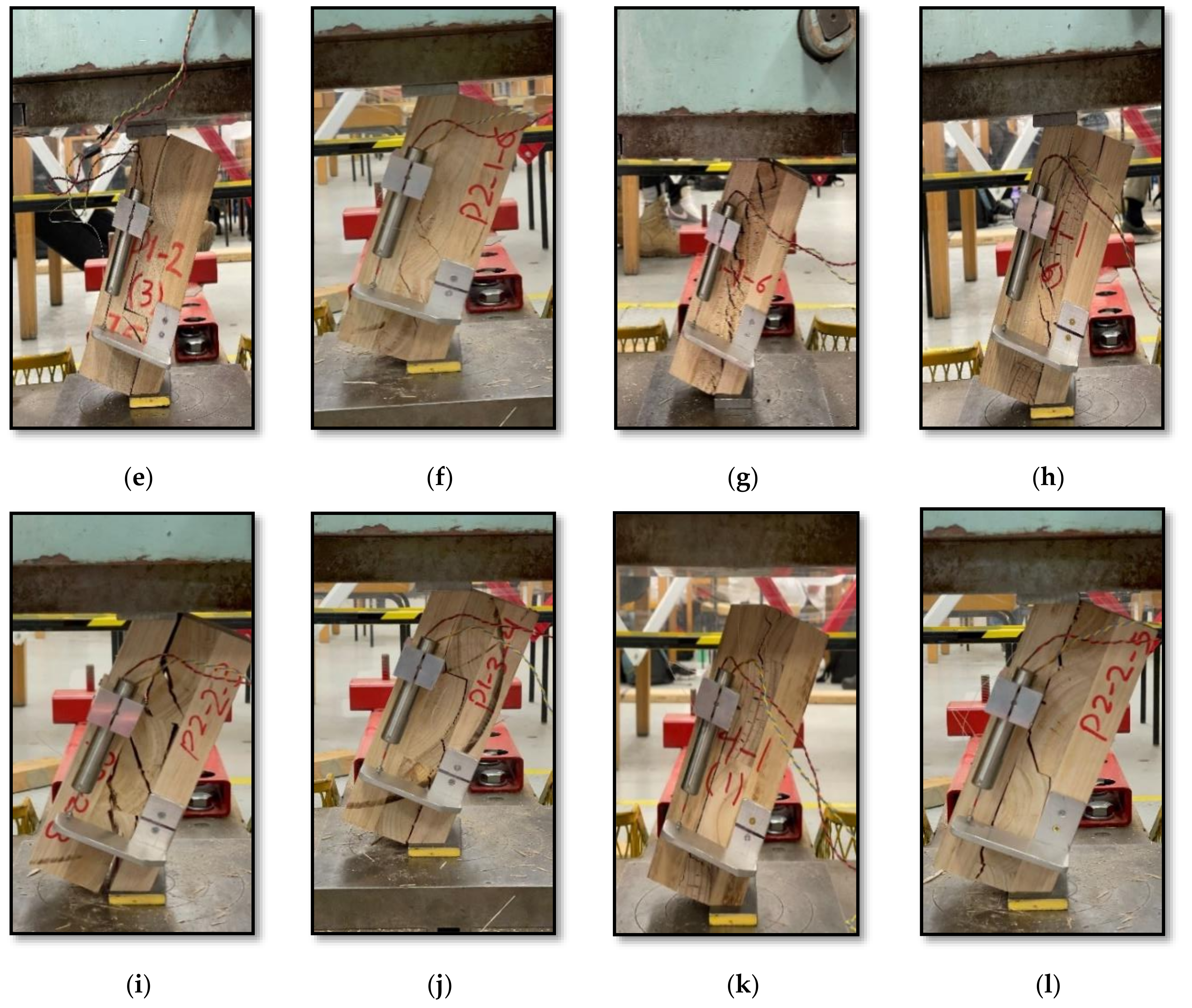 Forests 13 00084 g004b