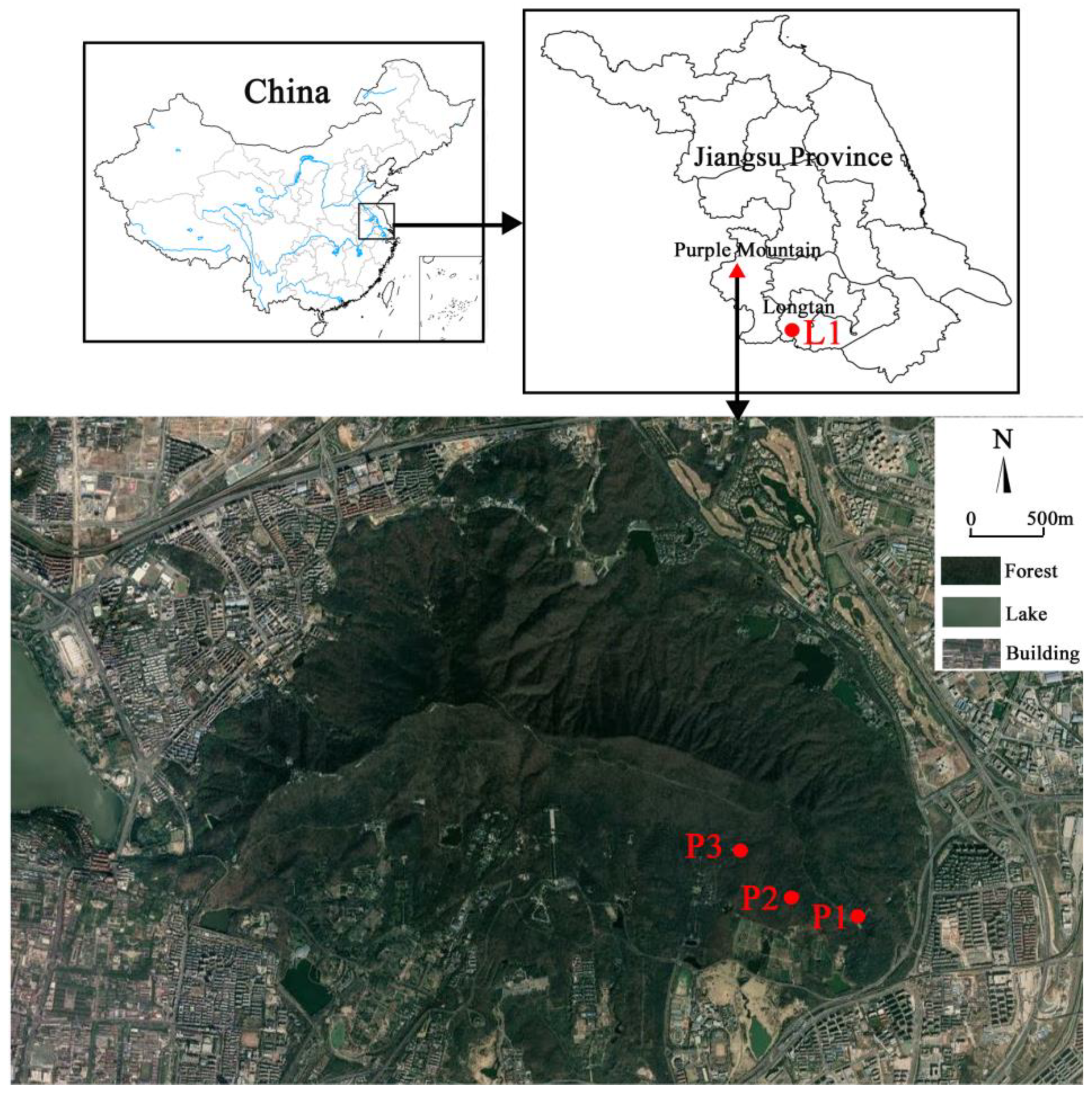 Forests 13 00085 g001