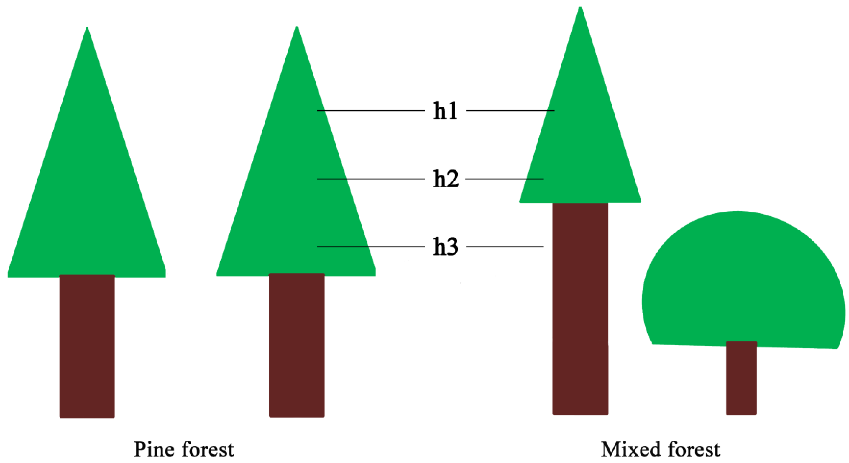 Forests 13 00085 g003