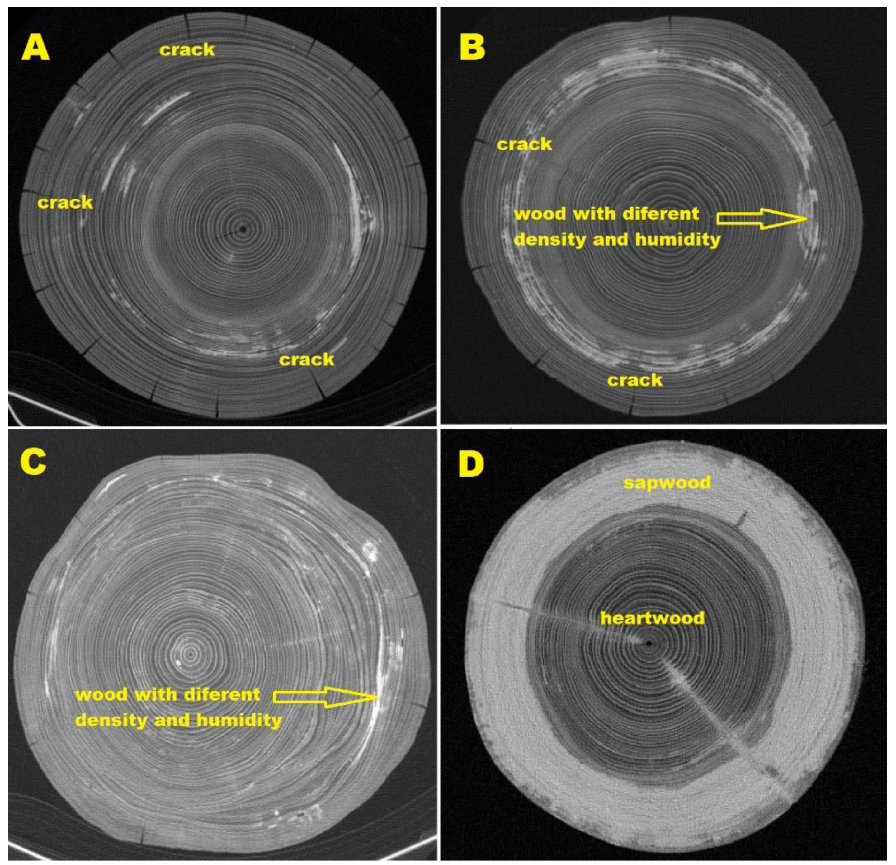 Forests 13 00087 g002