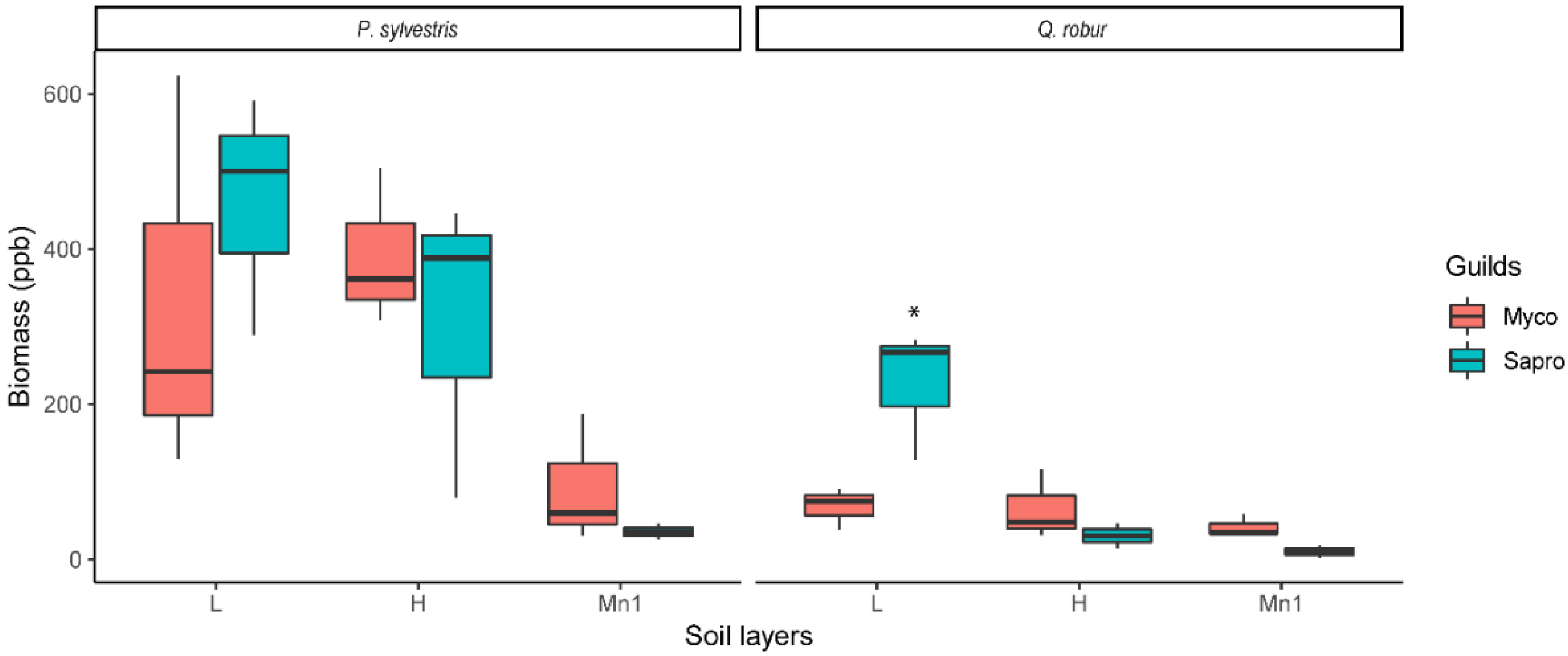 Forests 13 00088 g001