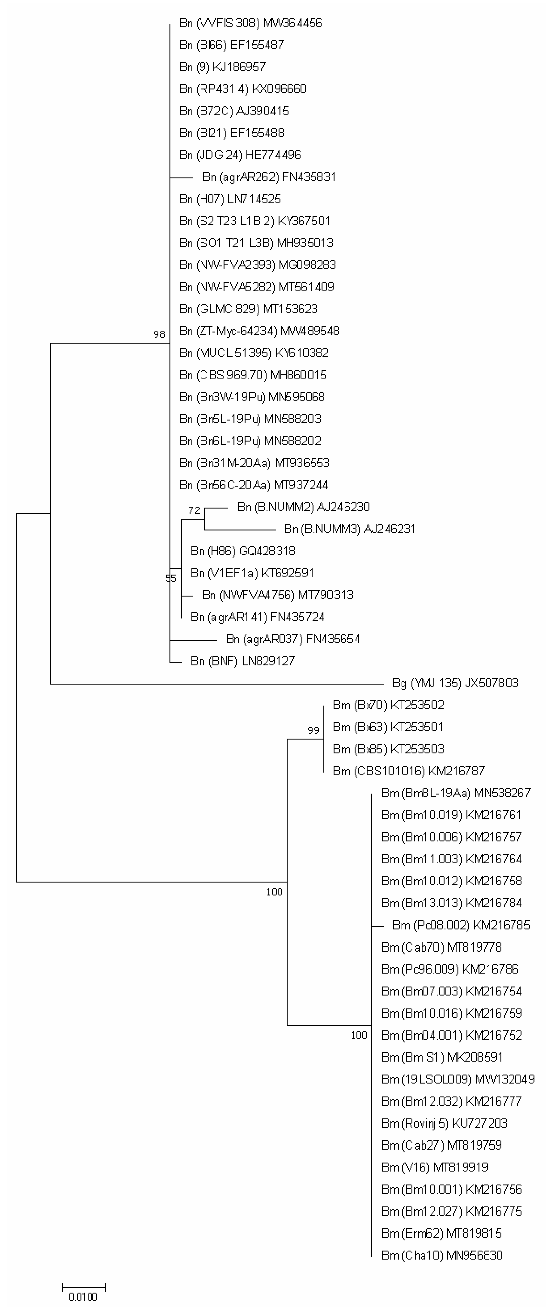 Forests 13 00089 g002