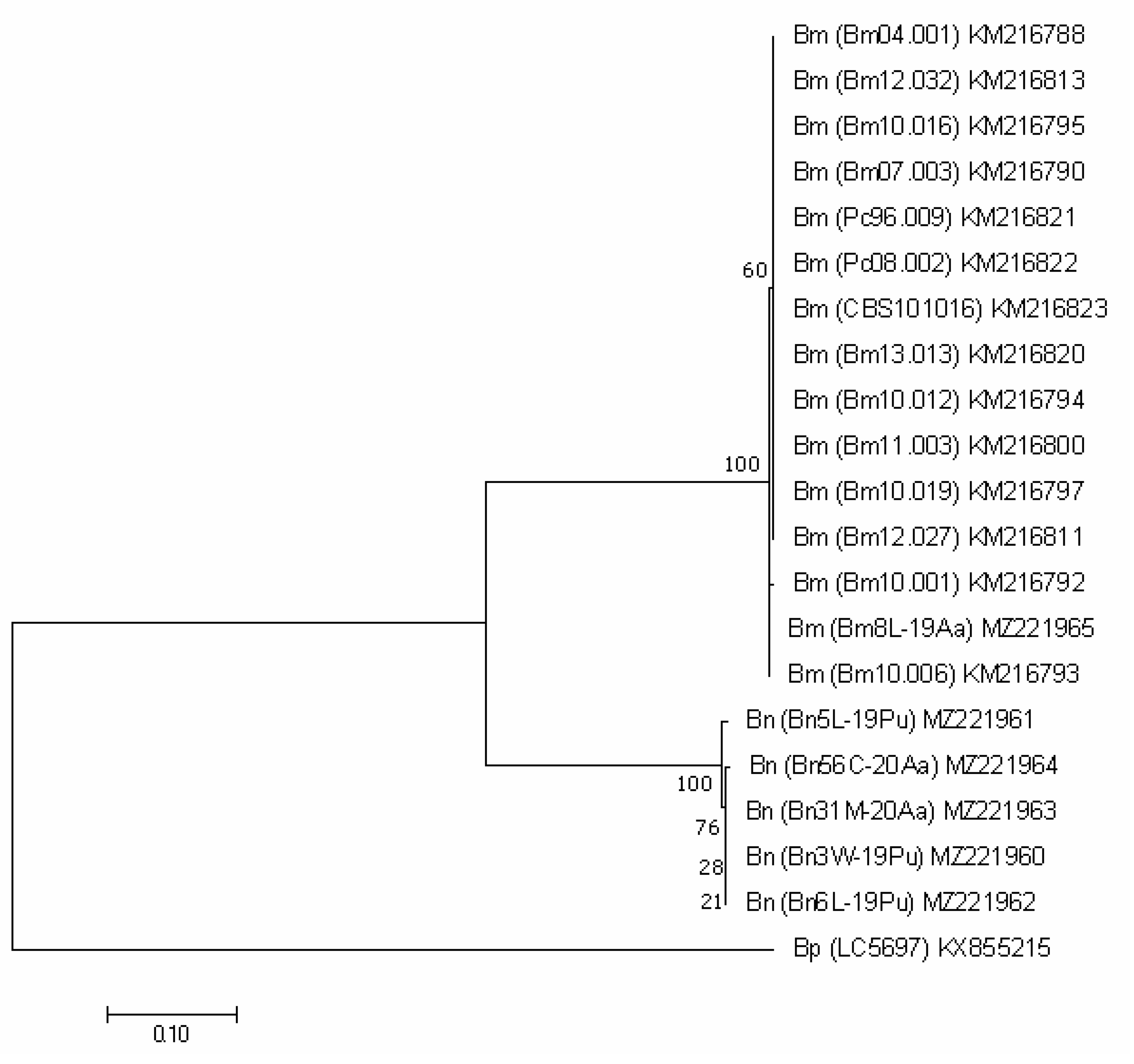 Forests 13 00089 g003