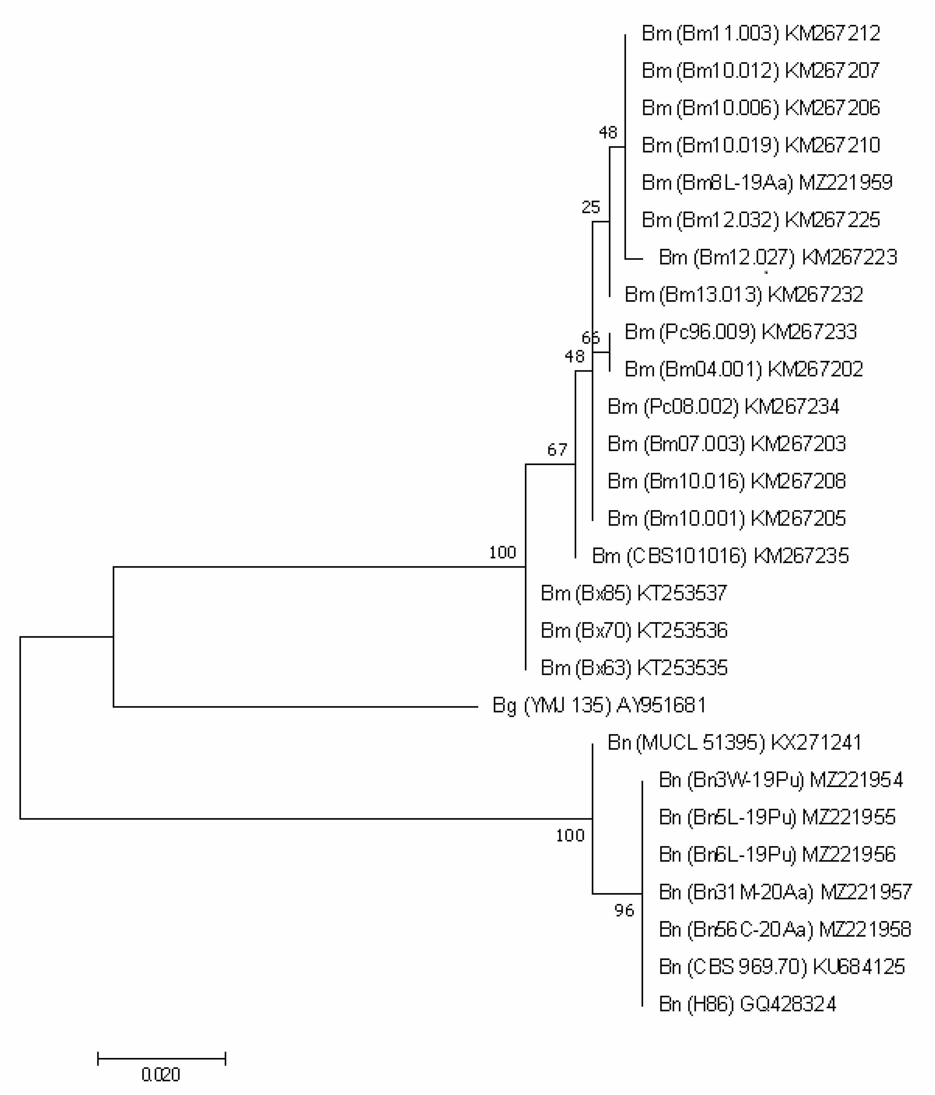 Forests 13 00089 g004