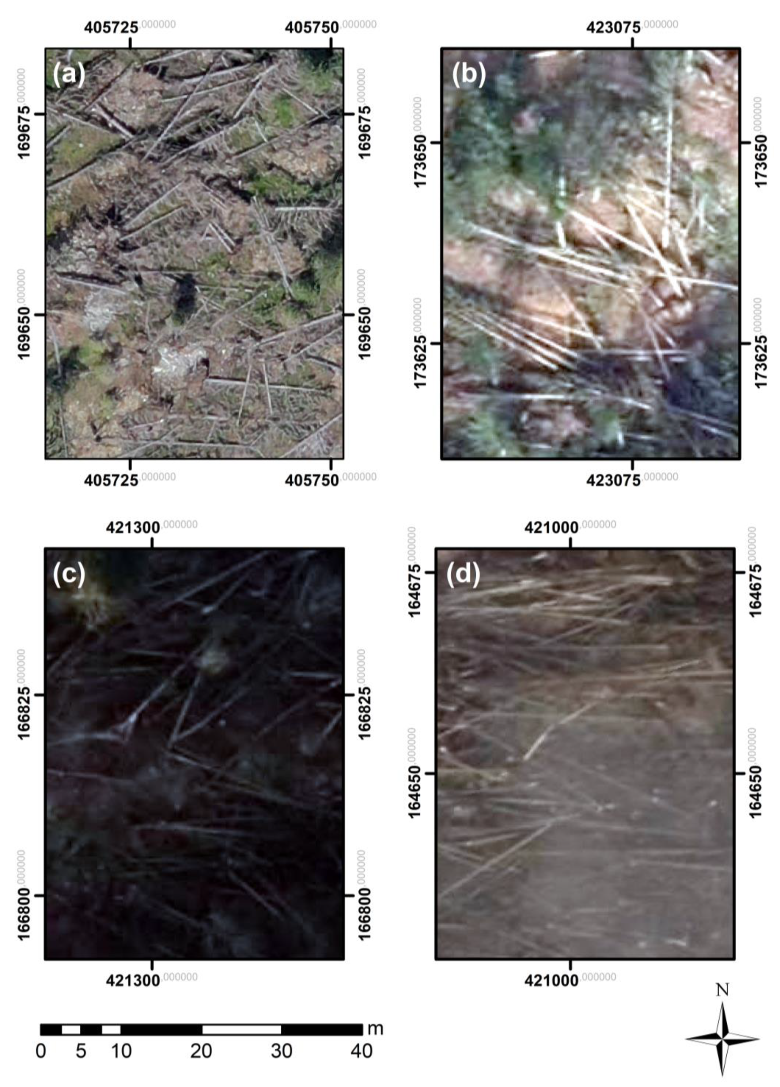 Forests 13 00090 g002