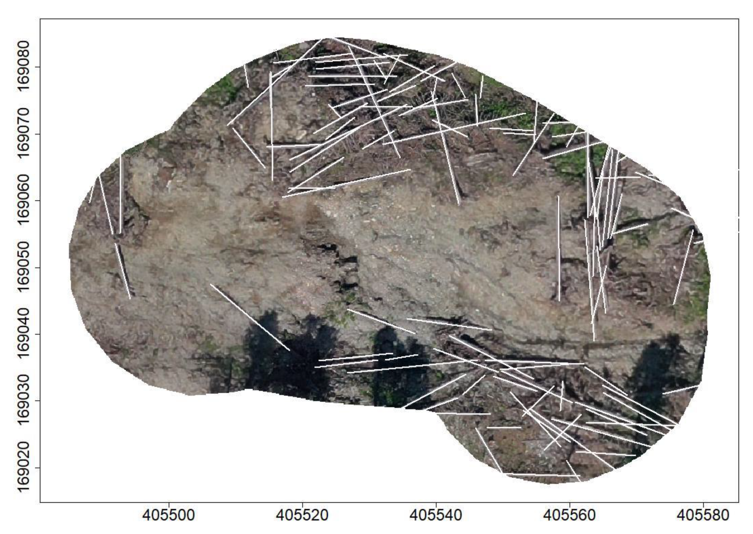 Forests 13 00090 g004