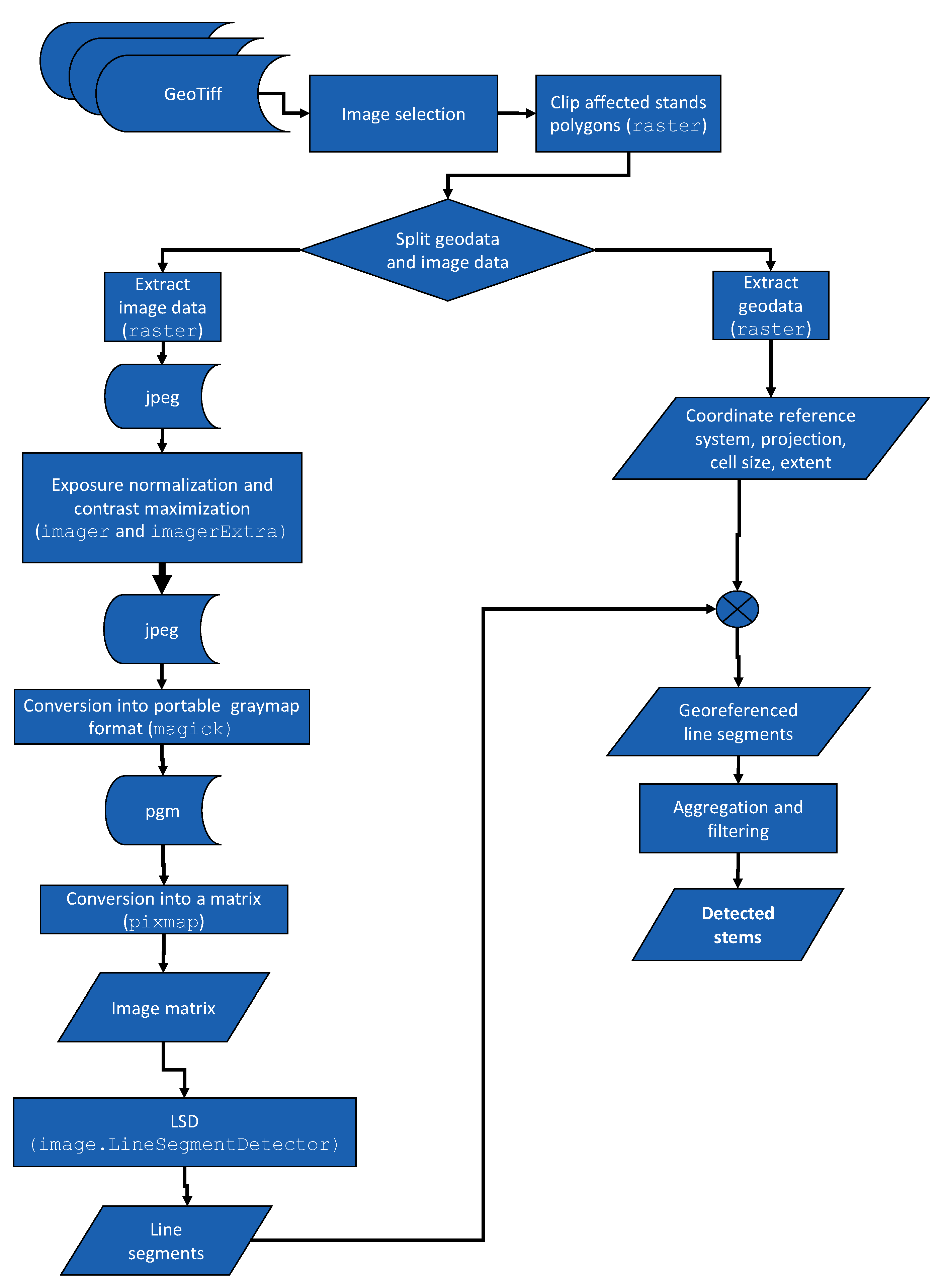 Forests 13 00090 g005