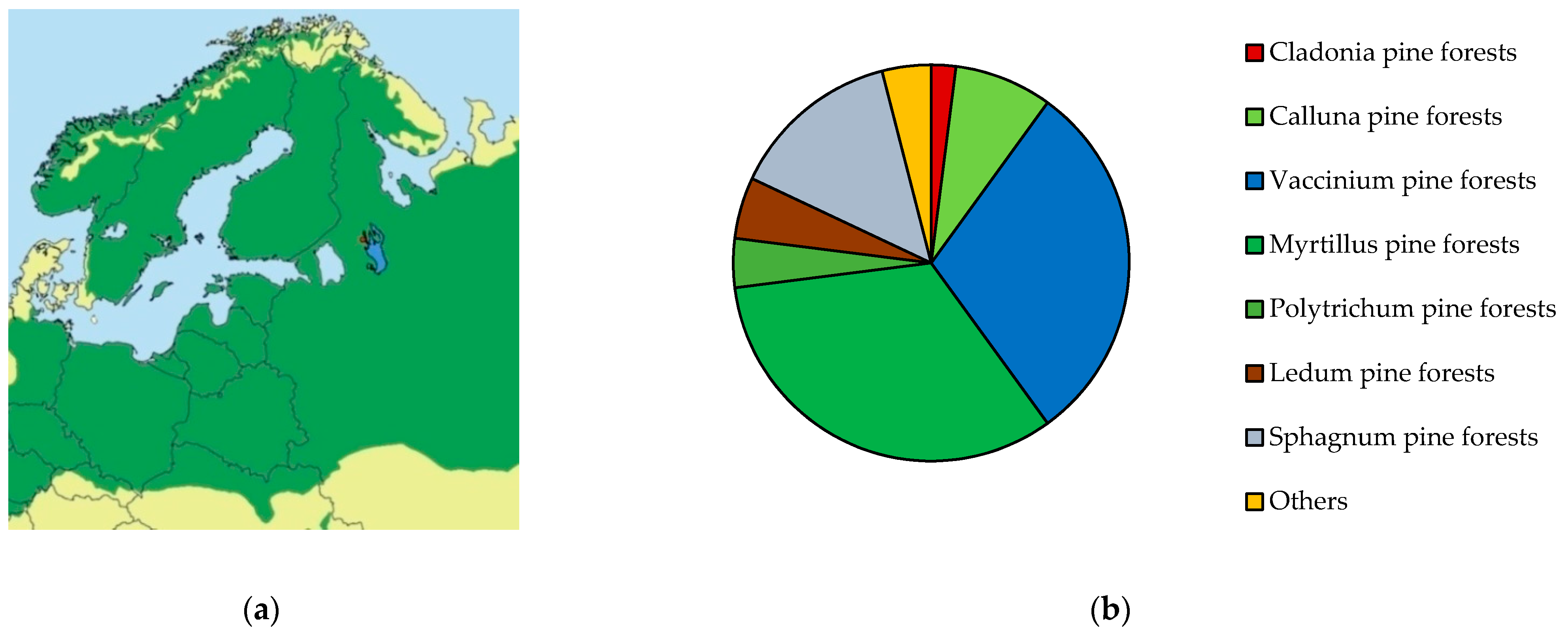 Forests 13 00091 g001 Forests 13 00091 g001