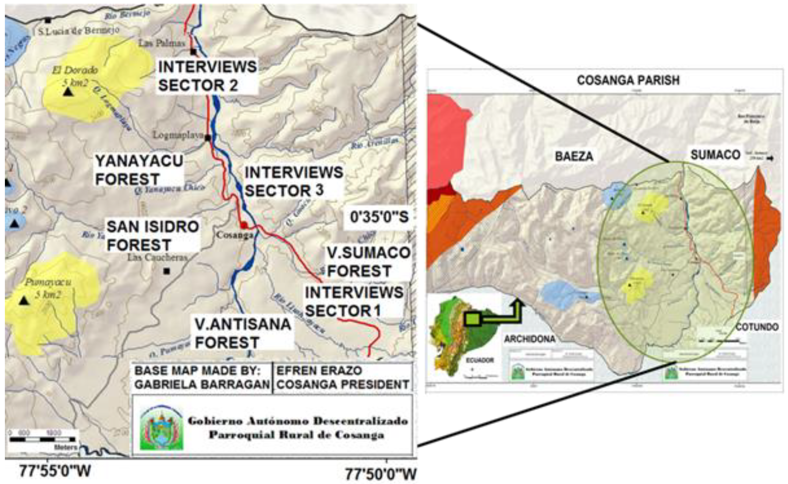 Forests 13 00092 g001