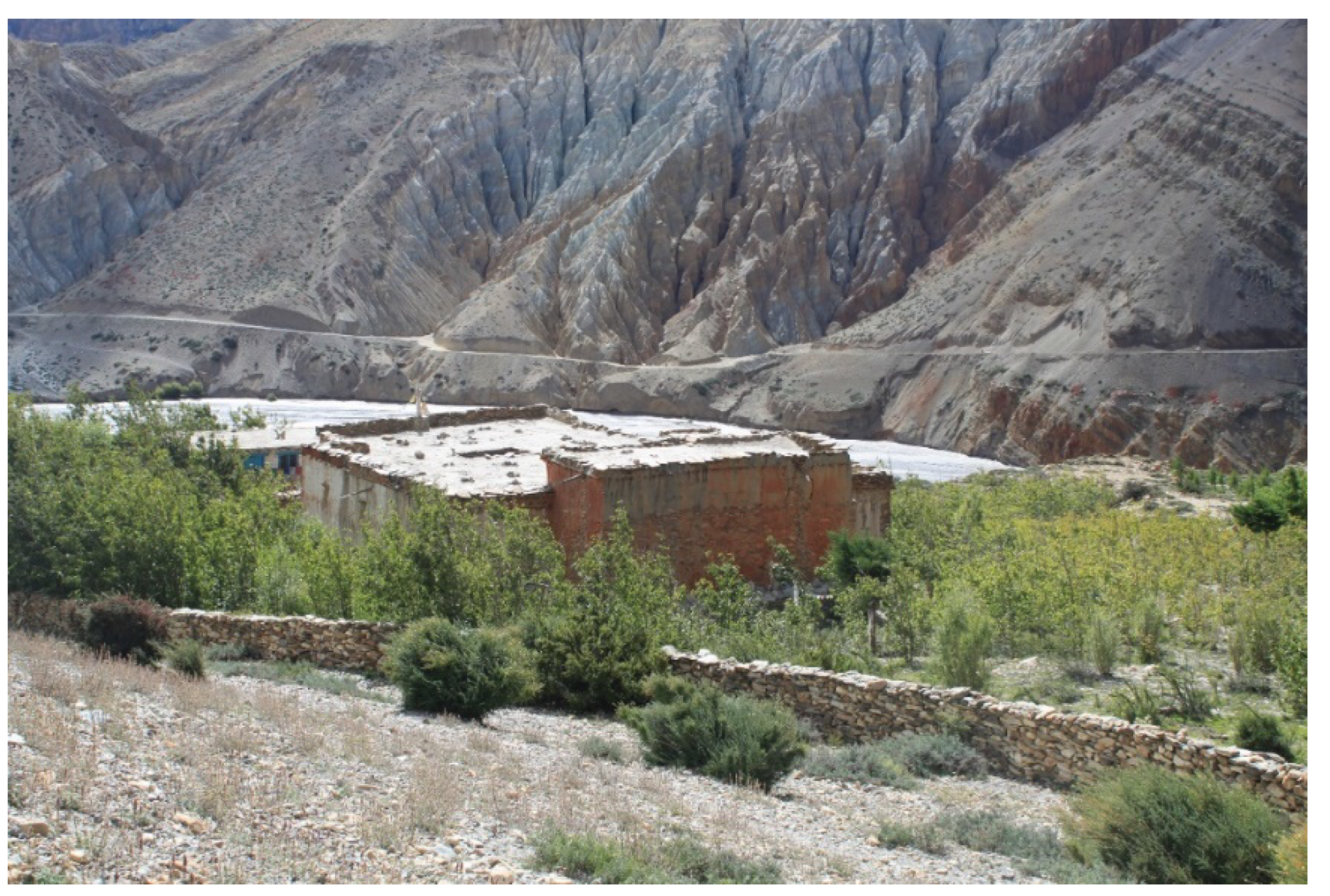 Forests 13 00095 g002