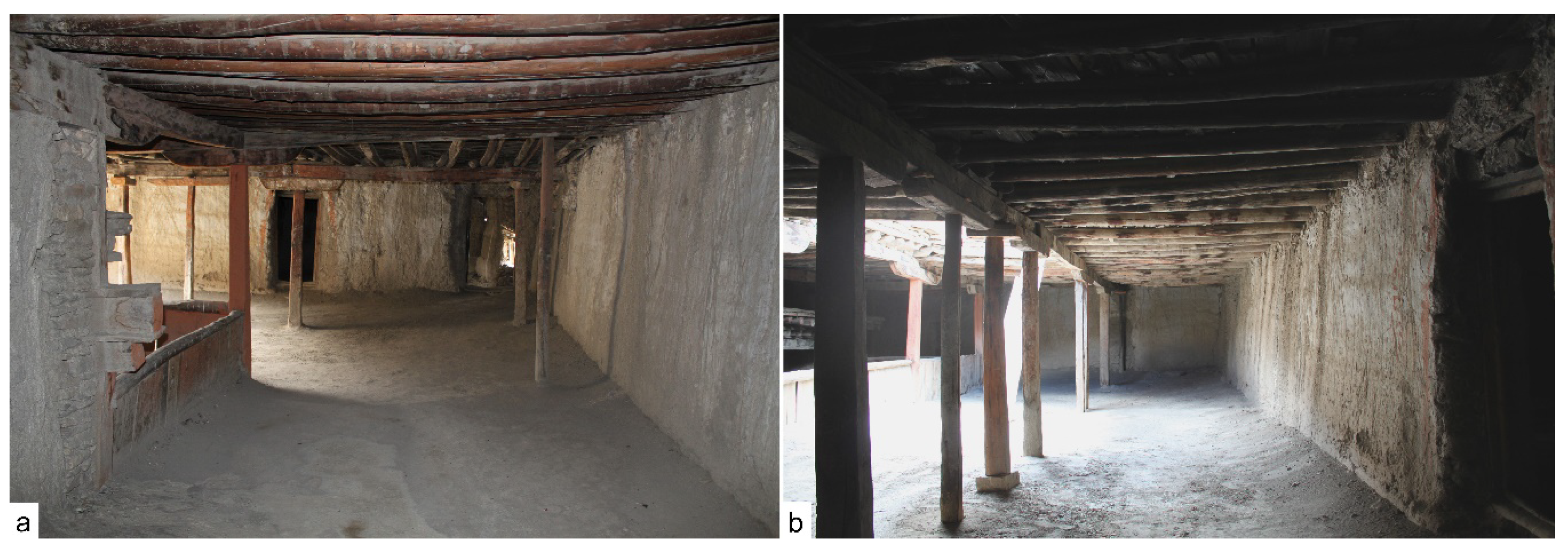 Forests 13 00095 g006