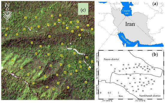 Forests 13 00104 g0a1