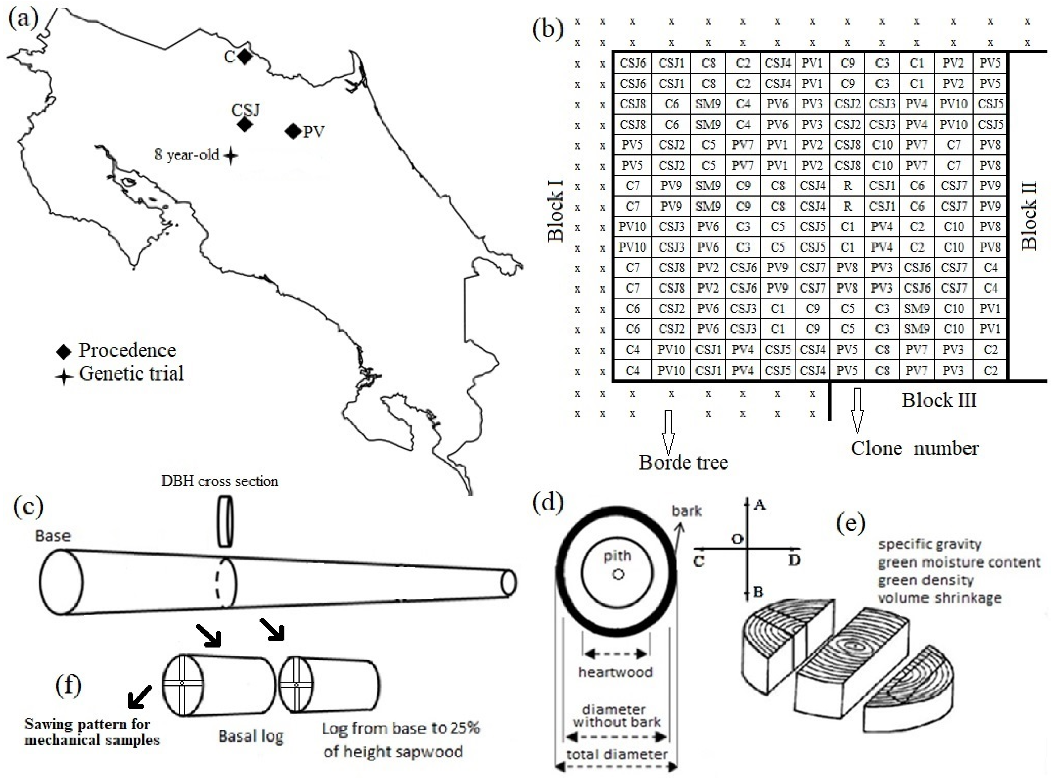 Forests 13 00106 g001