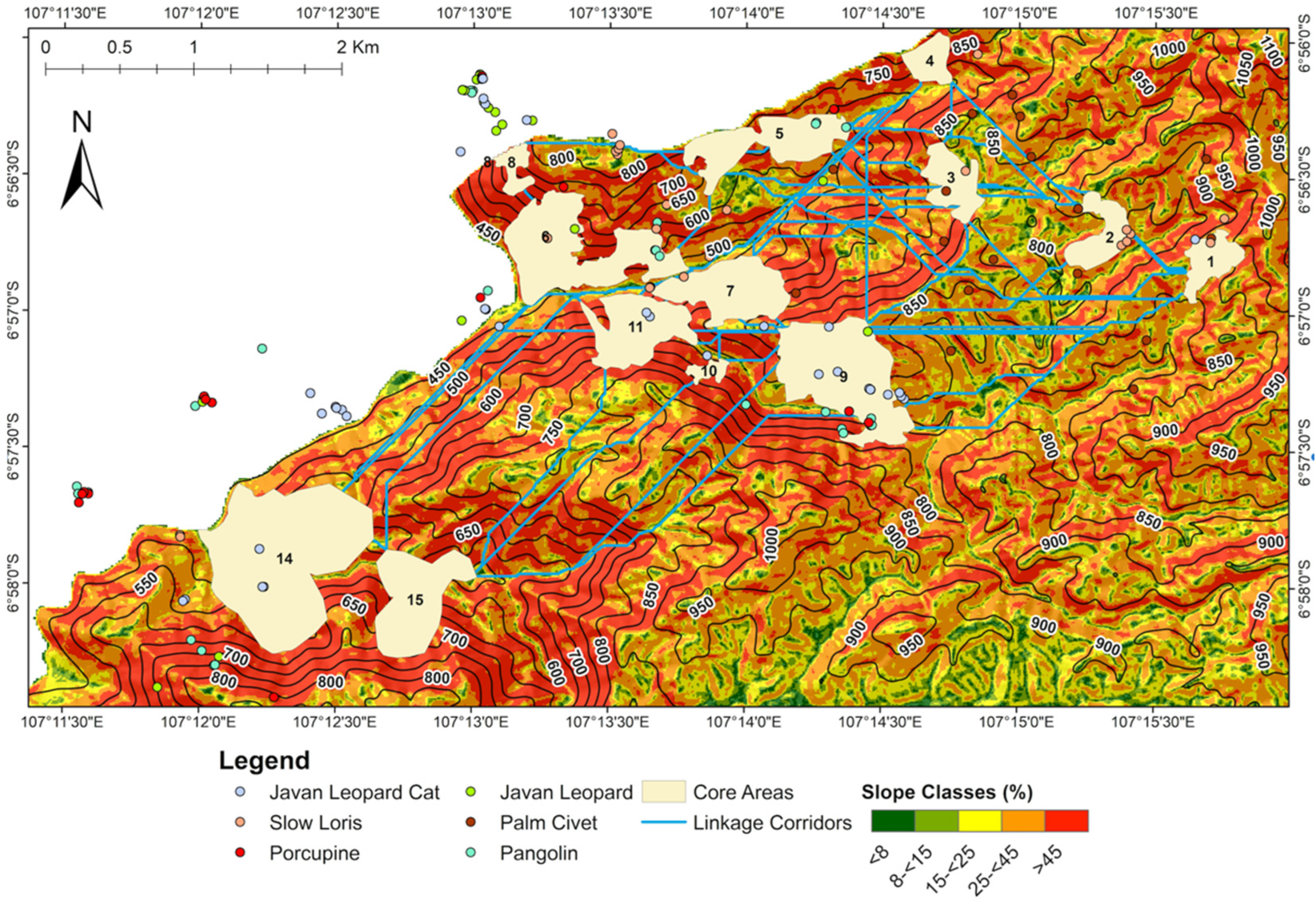 Forests 13 00115 g005