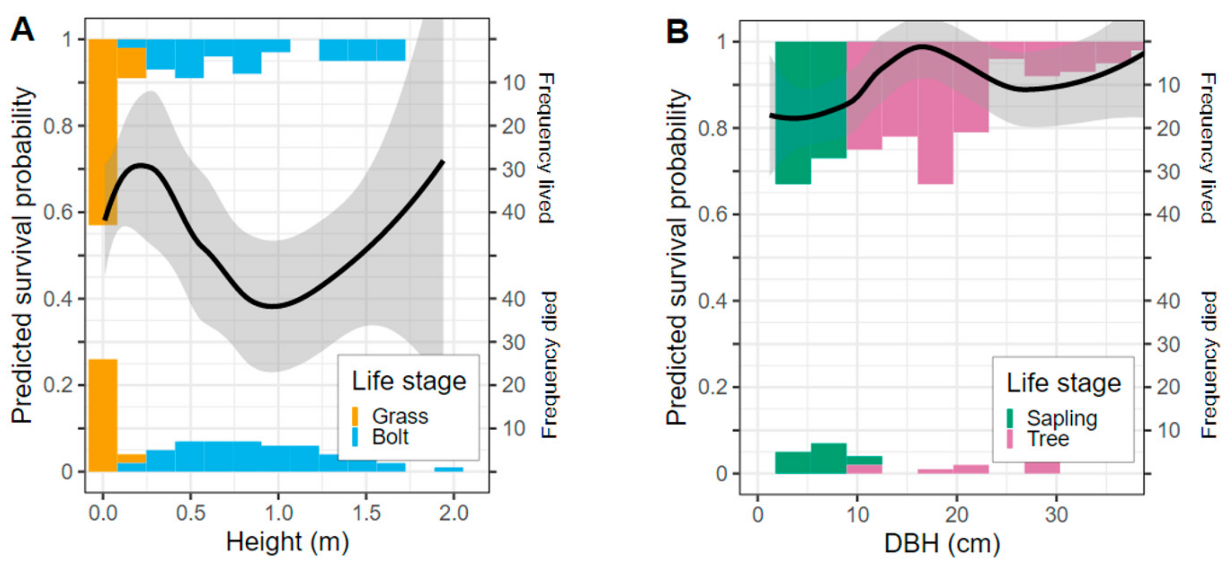 Forests 13 00117 g004