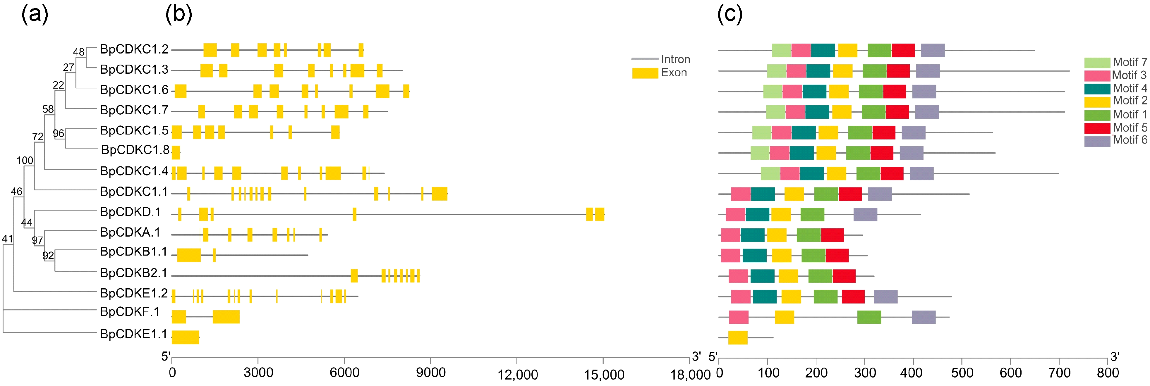 Forests 13 00120 g002