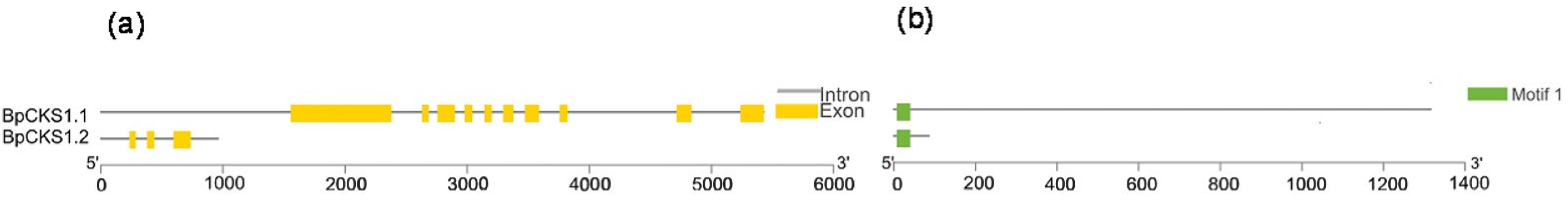 Forests 13 00120 g004