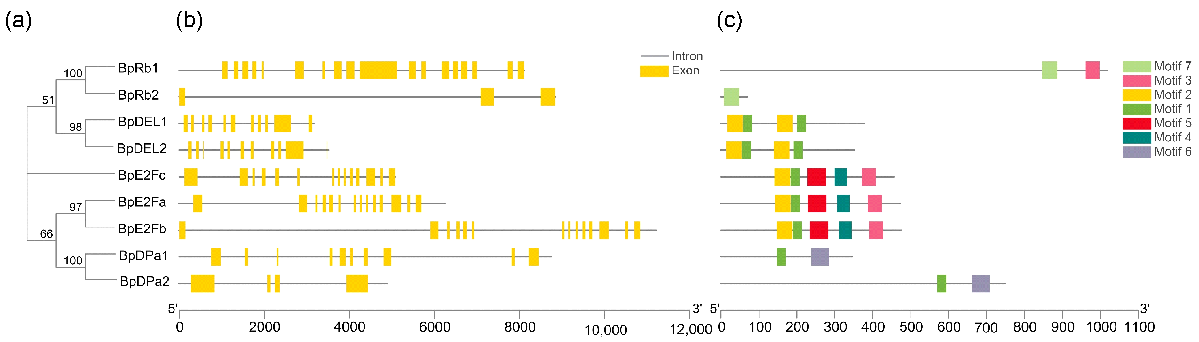 Forests 13 00120 g005