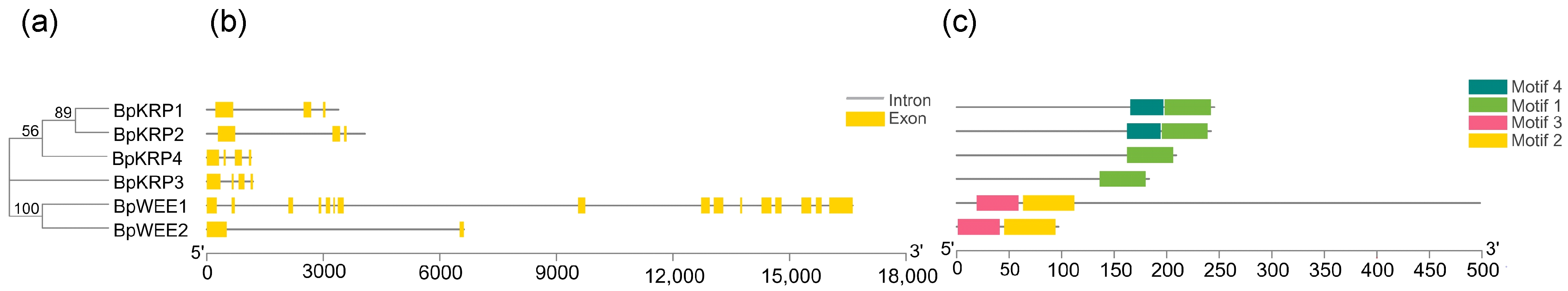 Forests 13 00120 g006