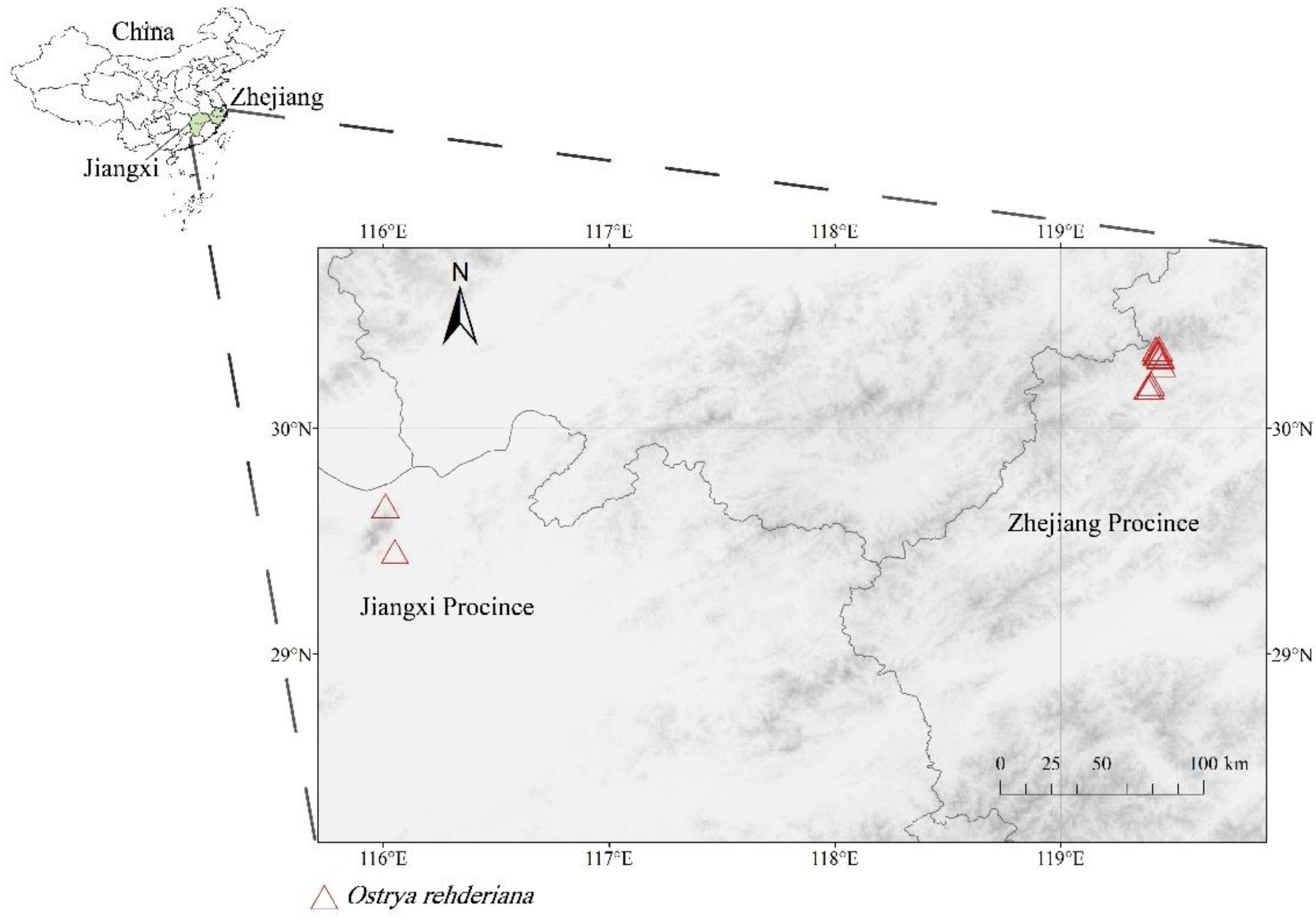 Forests 13 00129 g001 Forests 13 00129 g001