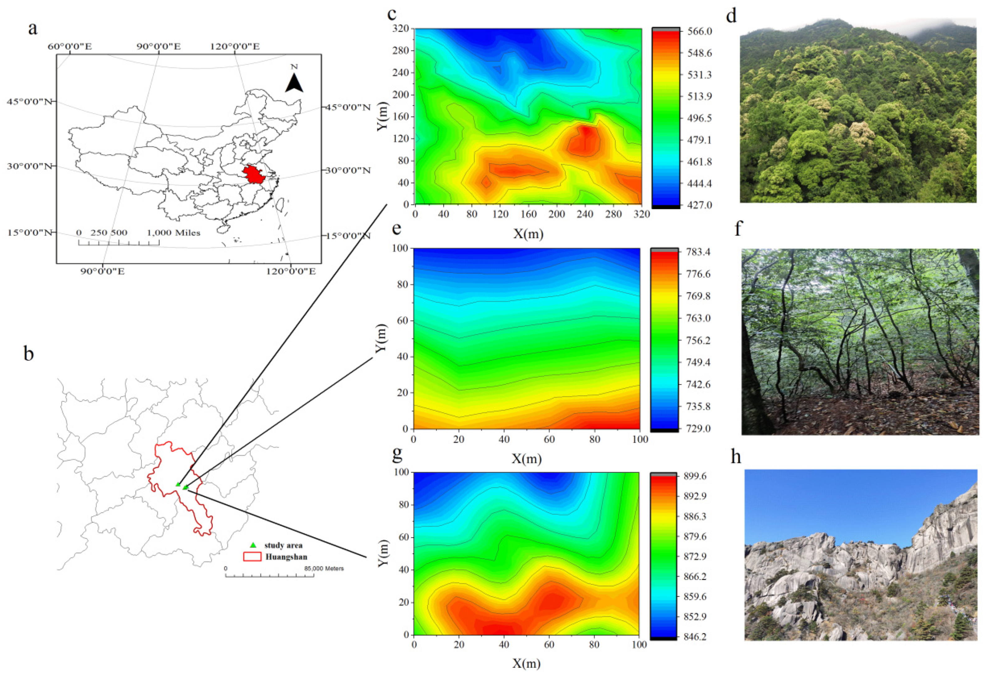 Forests 13 00133 g001