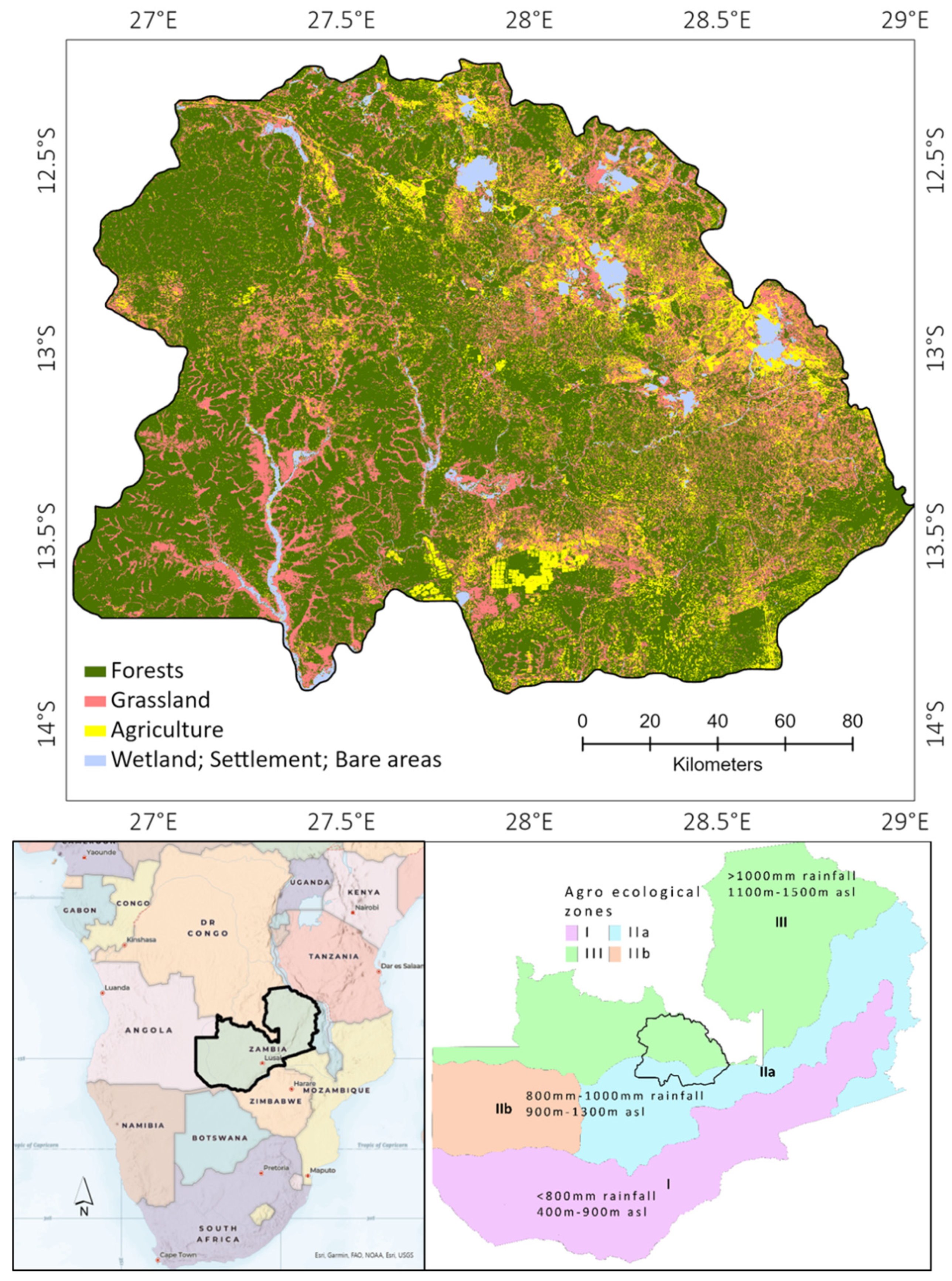 Forests 13 00134 g001