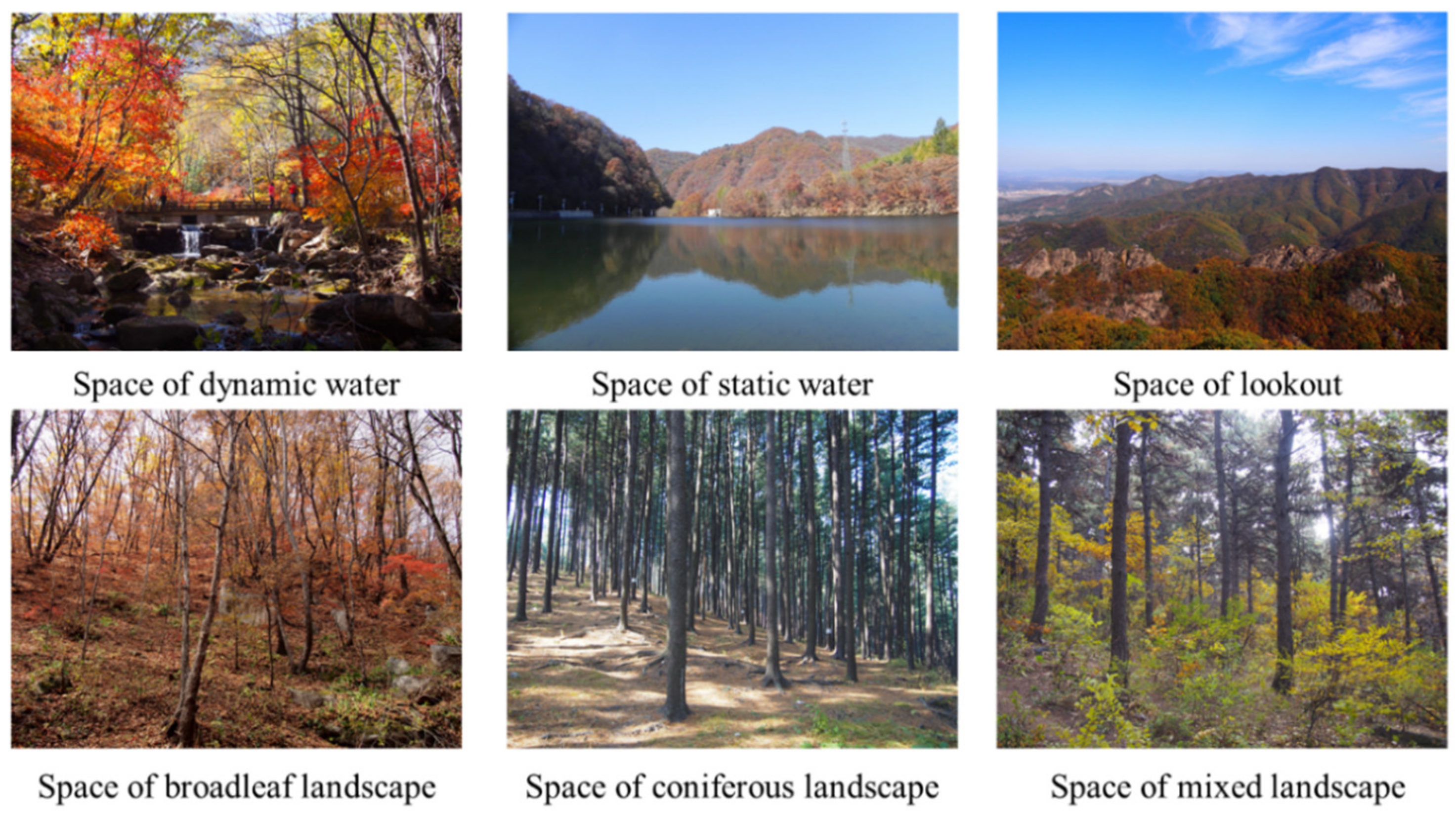 Forests 13 00136 g002