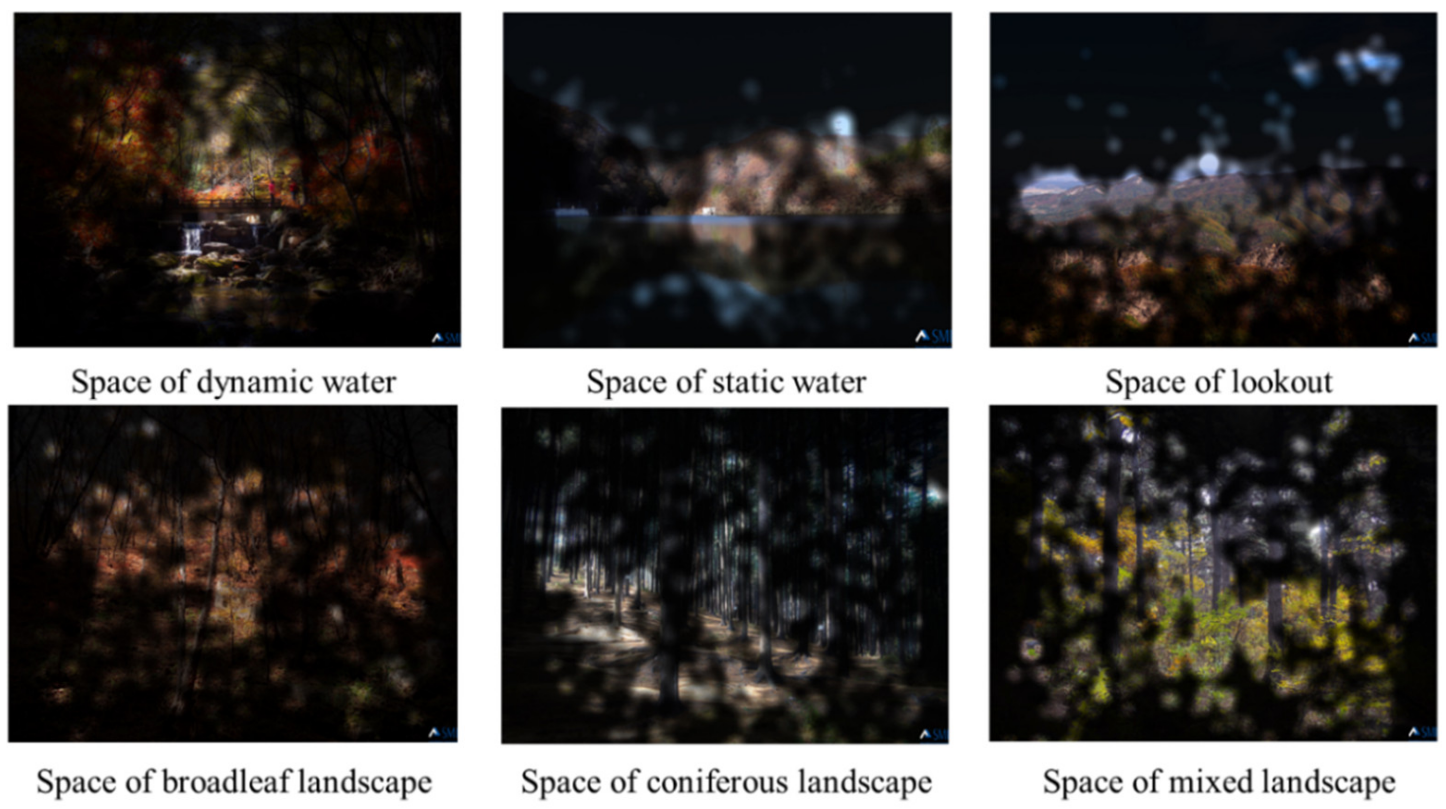 Forests 13 00136 g006