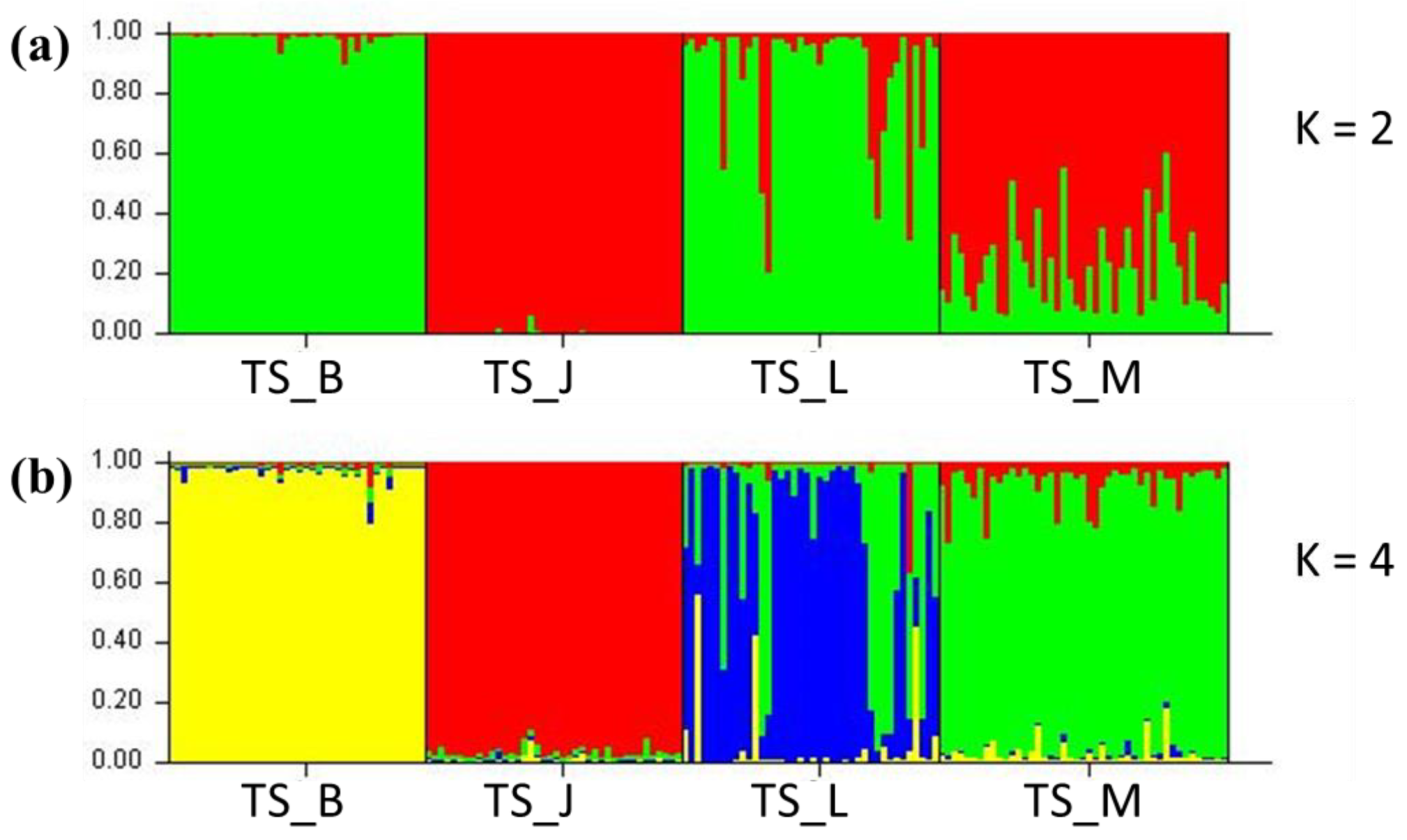 Forests 13 00137 g004