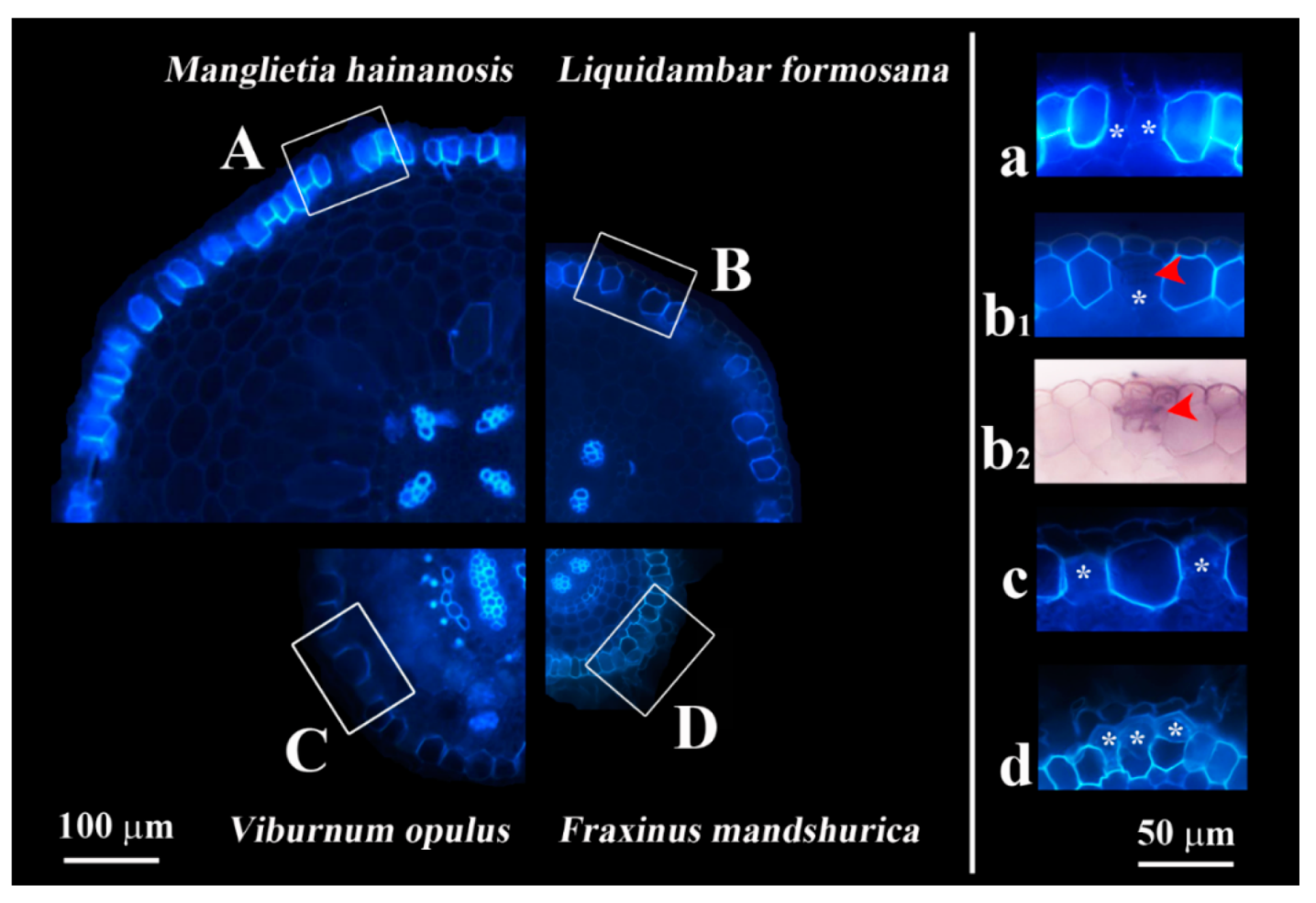Forests 13 00140 g002
