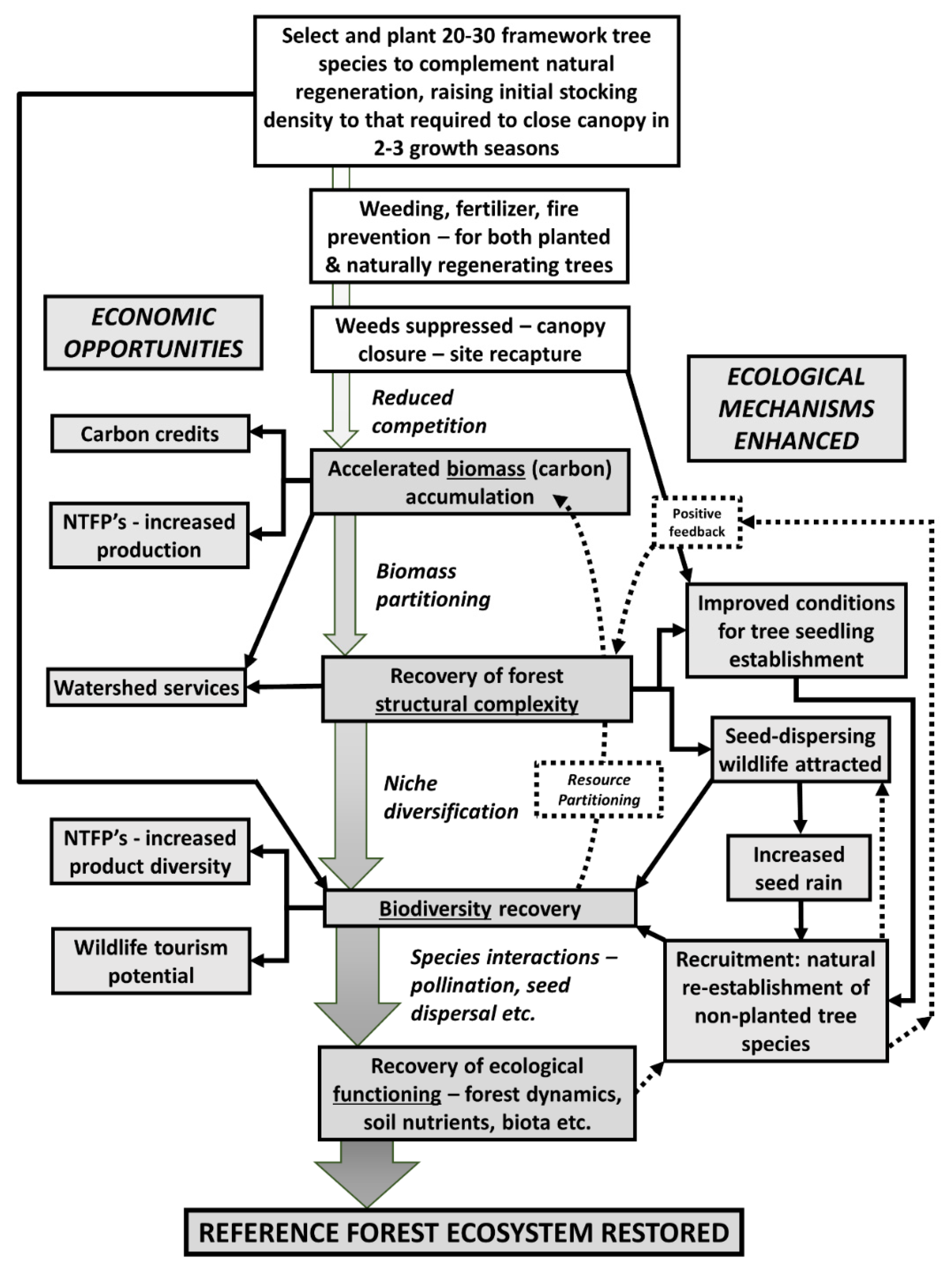 Forests 13 00144 g001