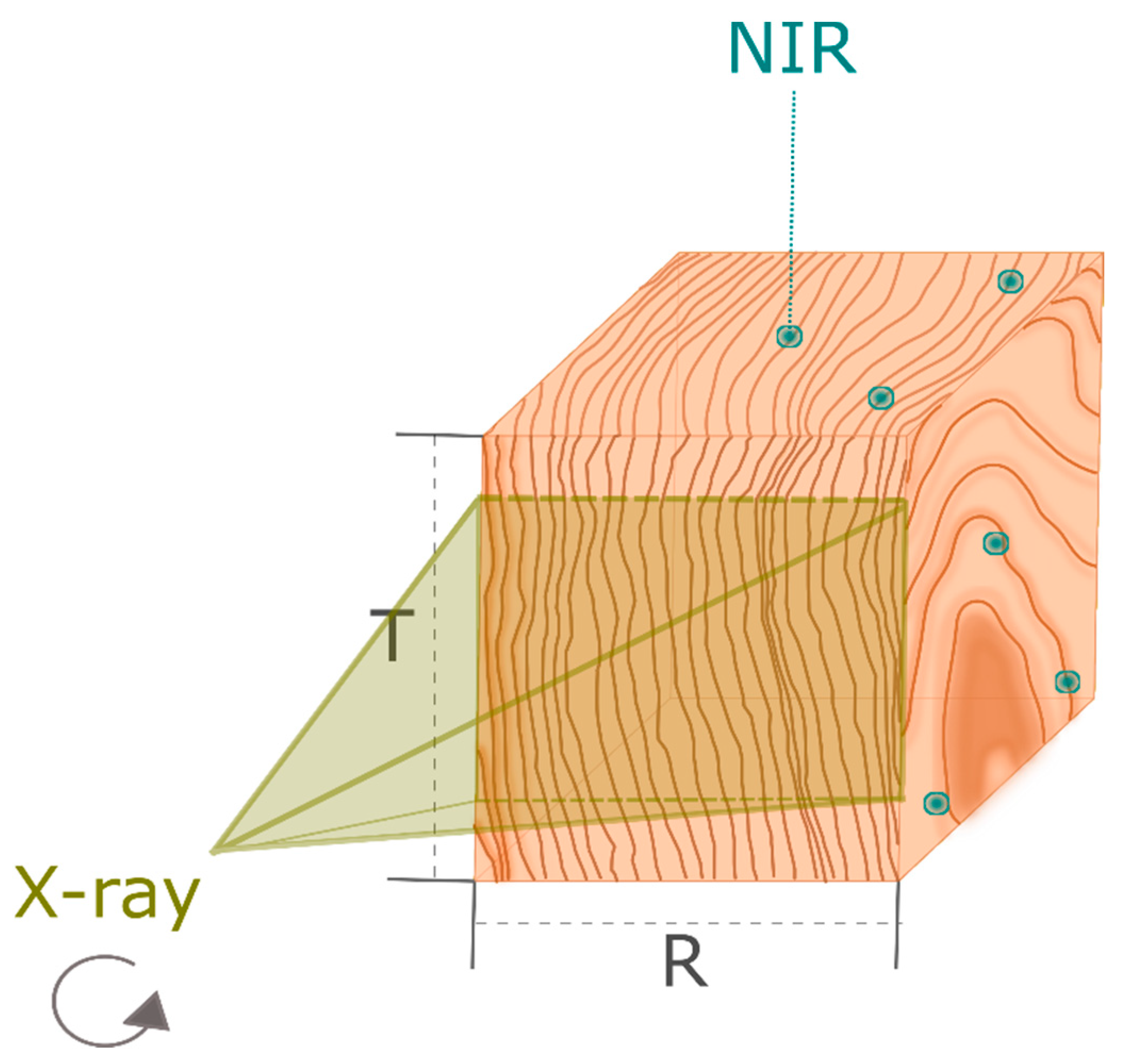 Forests 13 00151 g002