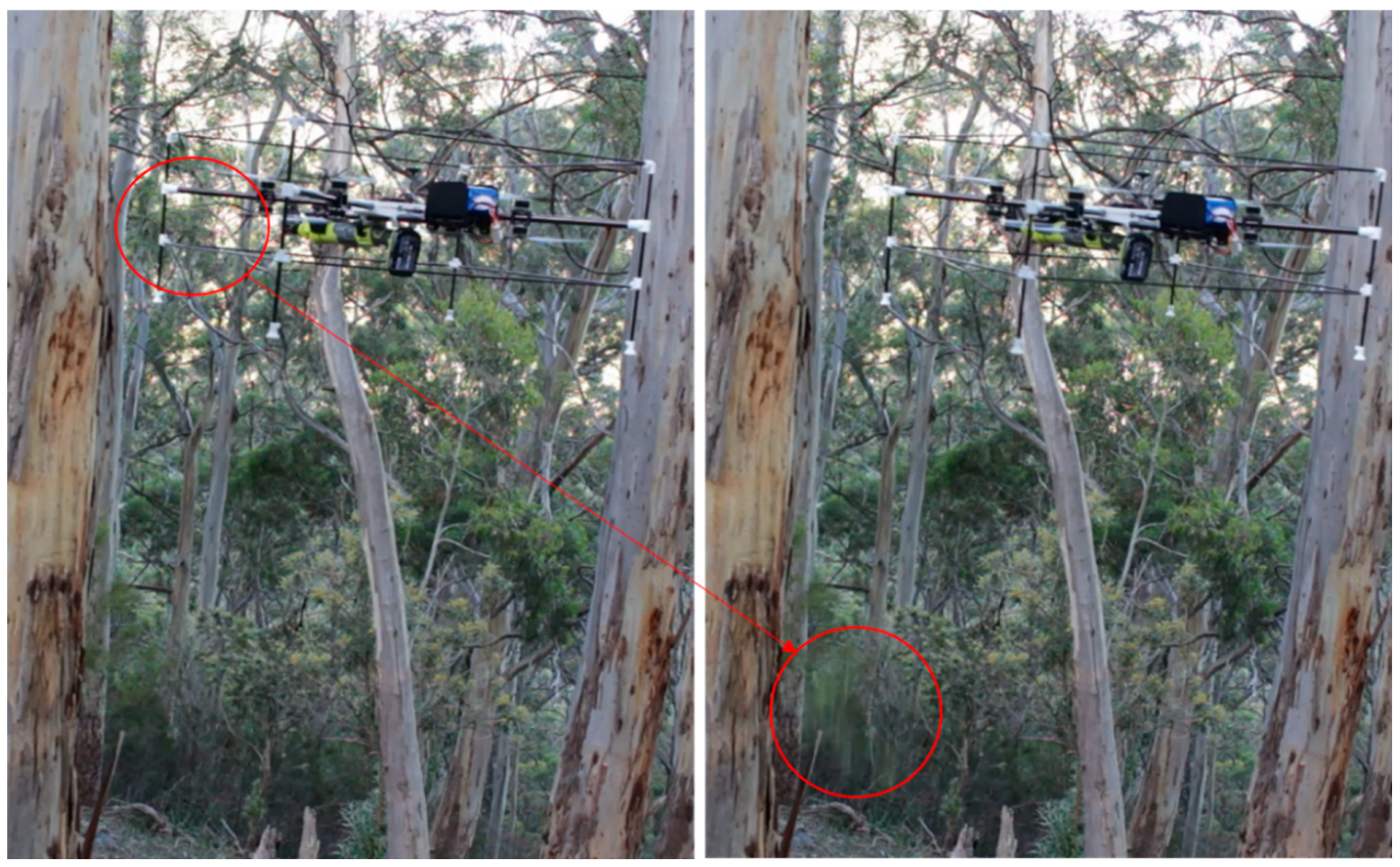 Forests 13 00153 g003