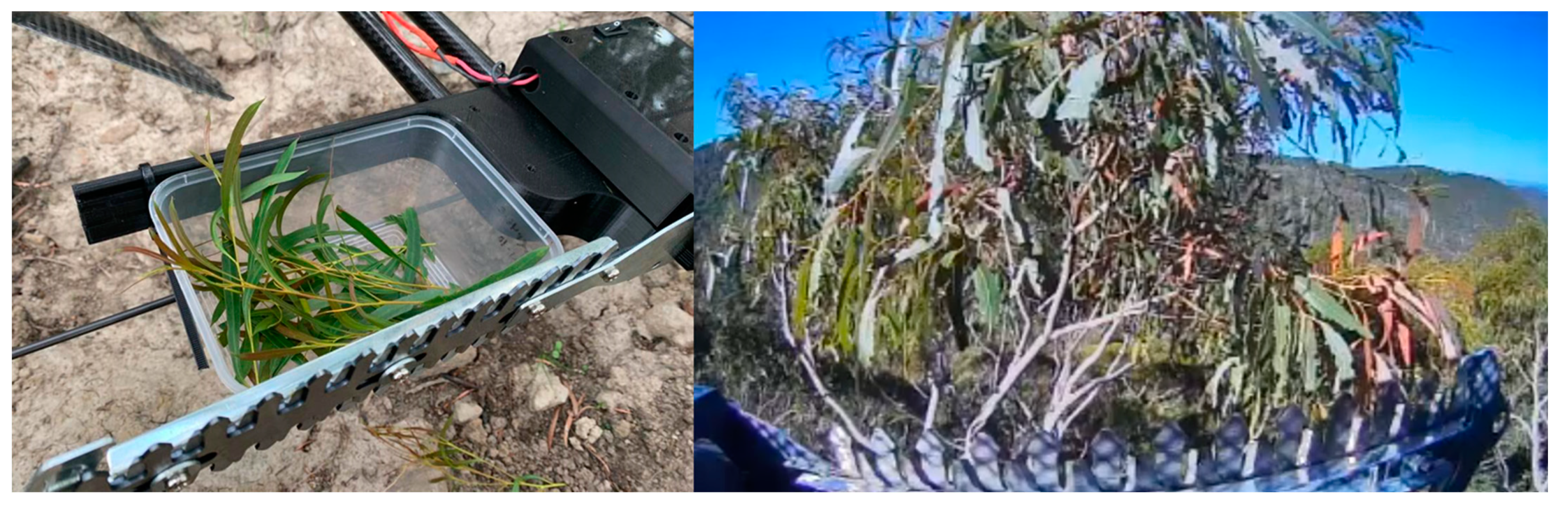 Forests 13 00153 g004