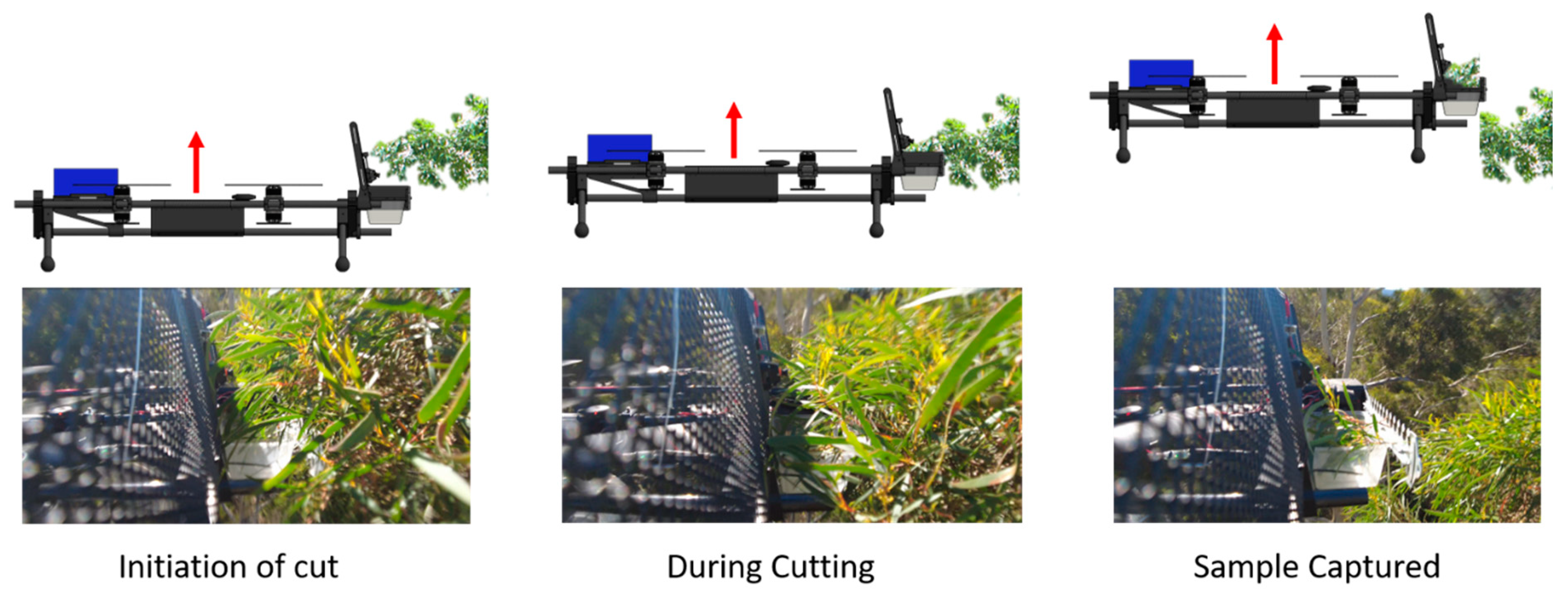 Forests 13 00153 g006