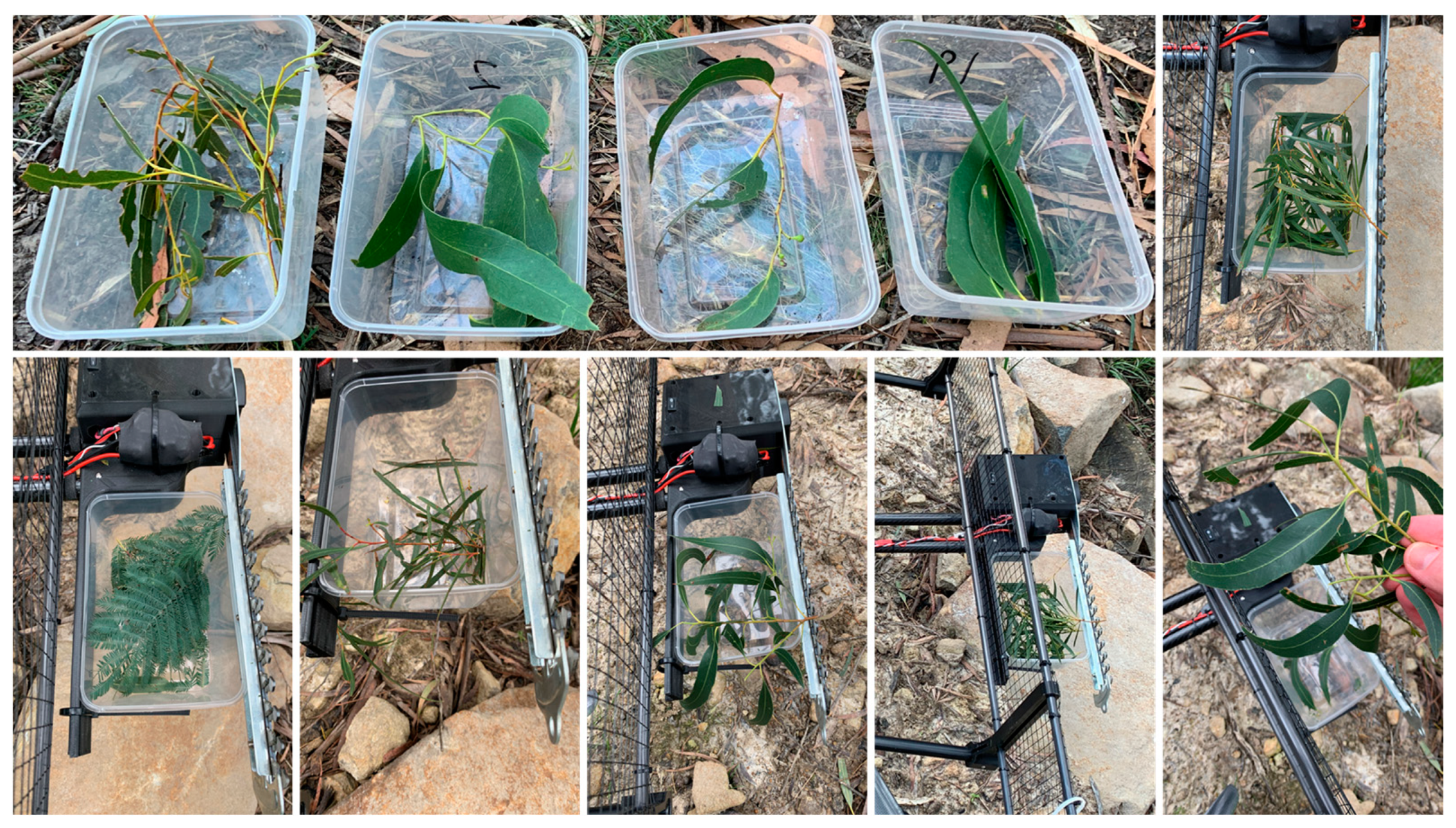 Forests 13 00153 g013