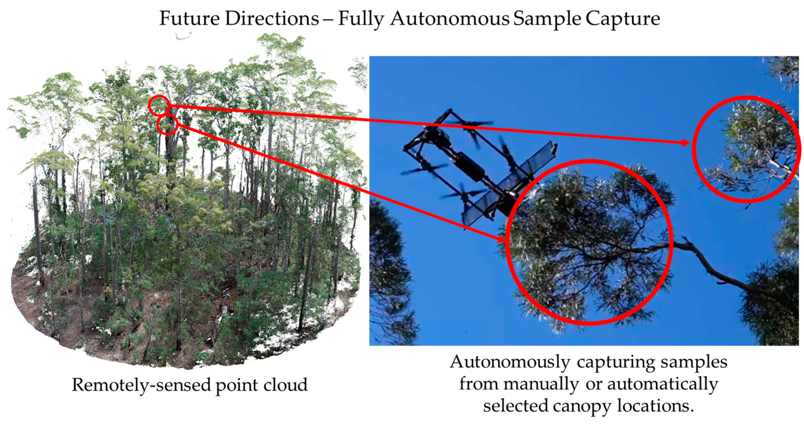 Forests 13 00153 g015