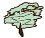 Forests 13 00154 i001