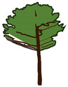 Forests 13 00154 i003