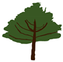 Forests 13 00154 i004