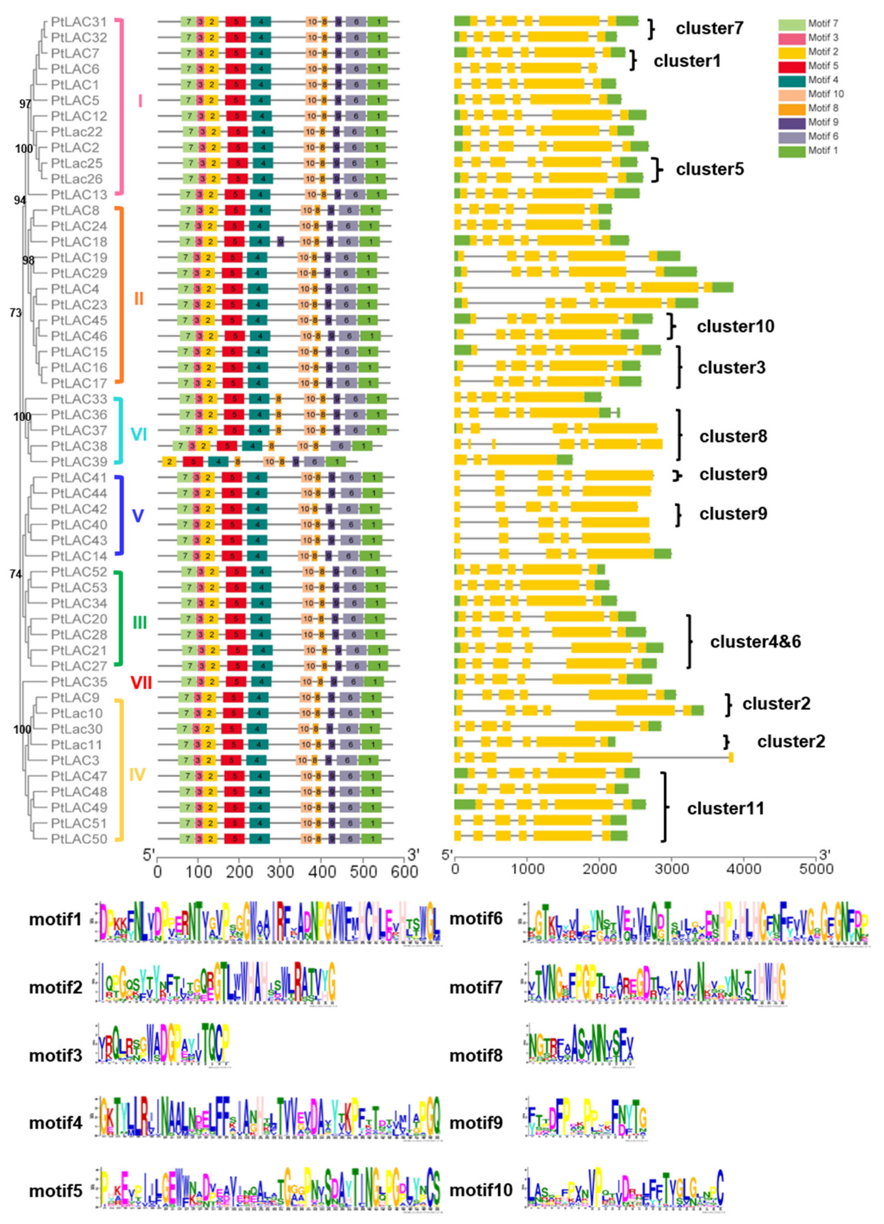 Forests 13 00157 g003