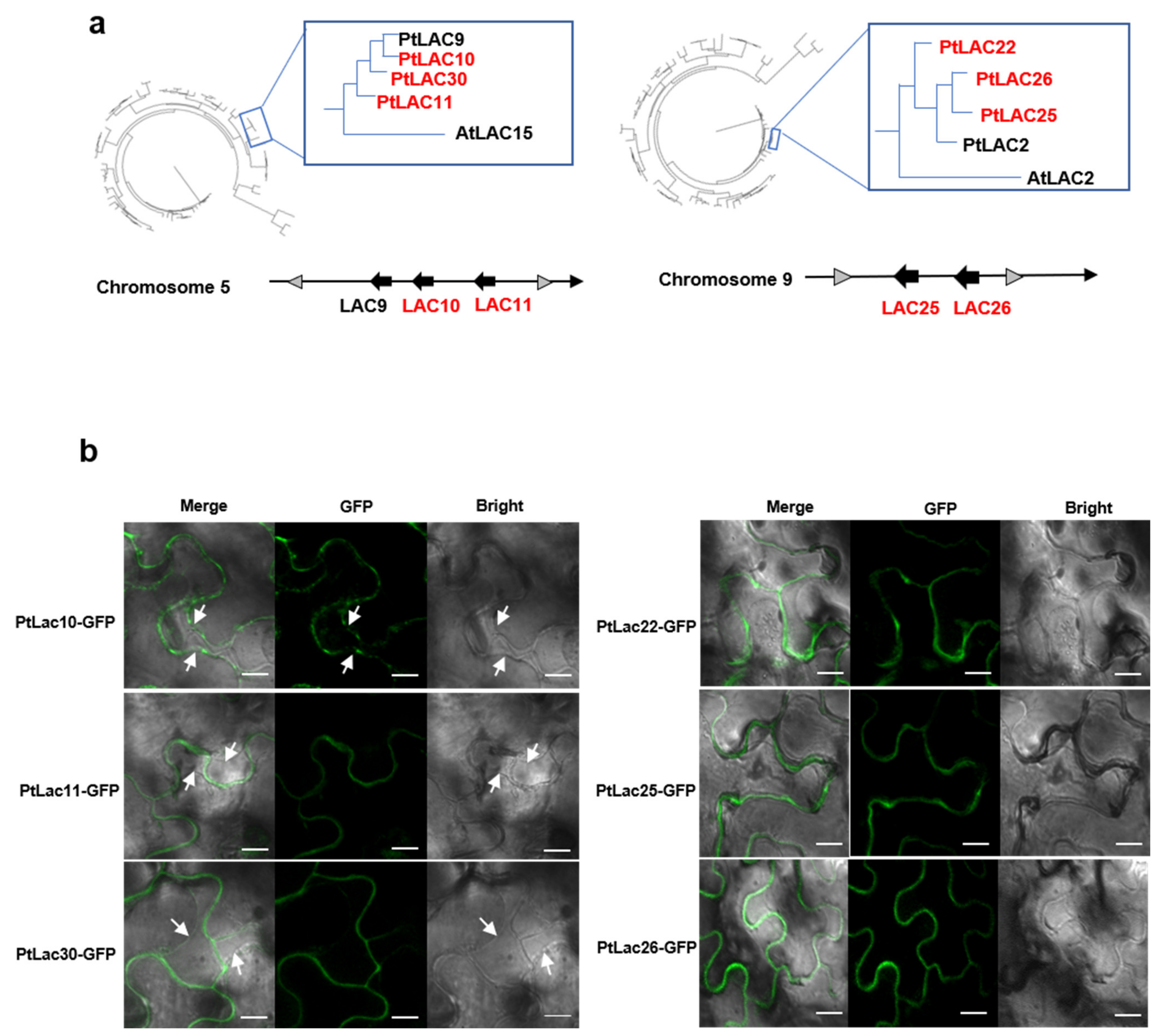 Forests 13 00157 g006