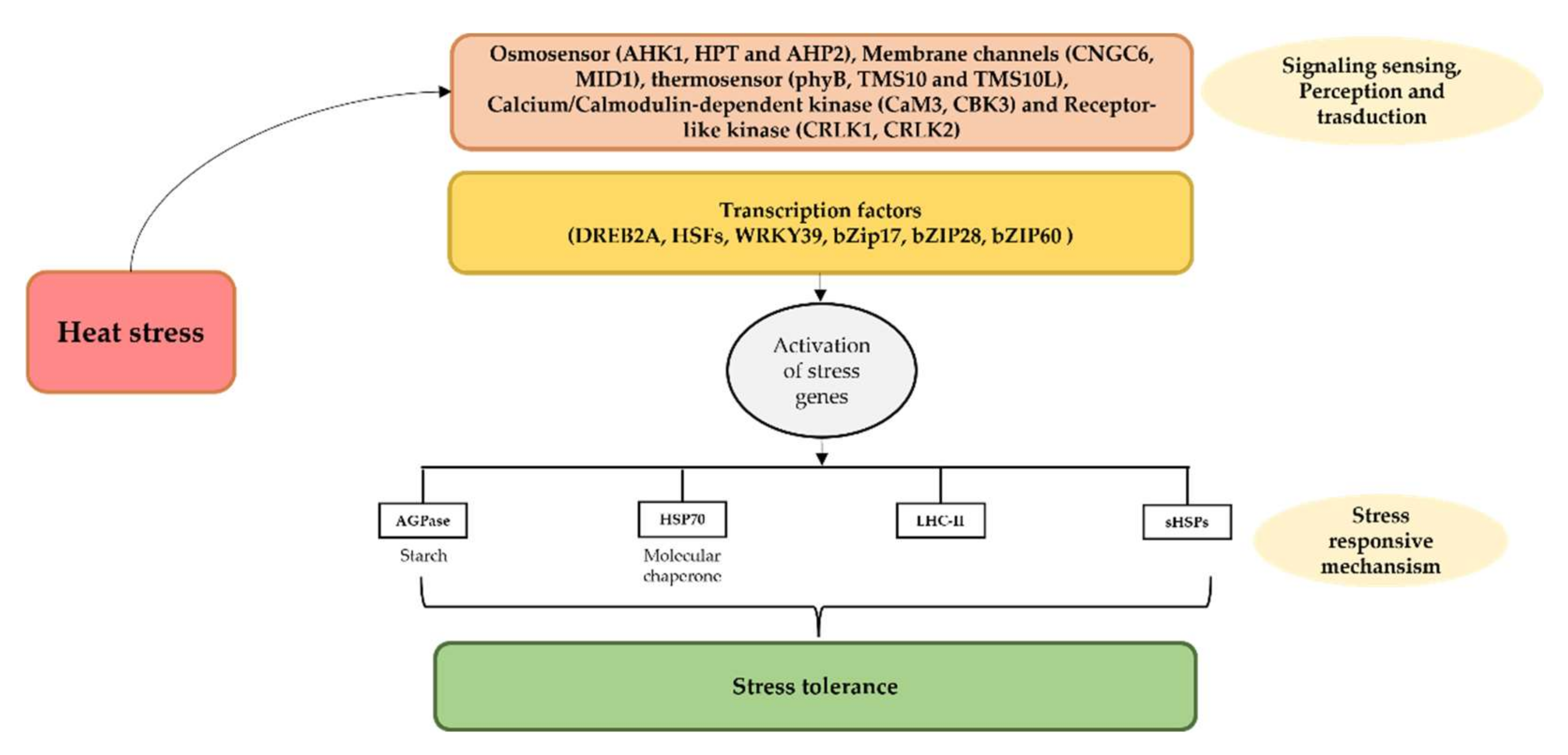 Forests 13 00159 g007