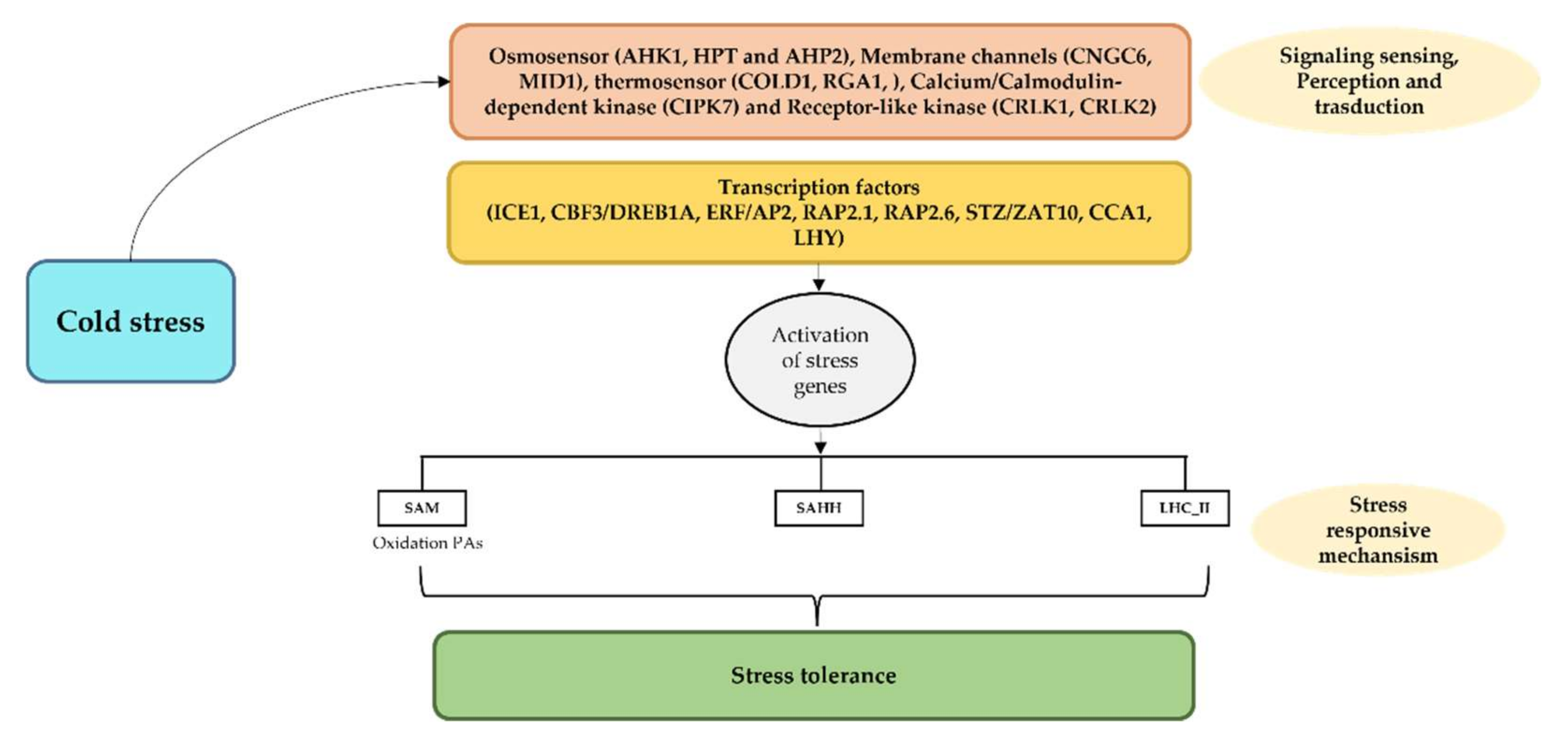 Forests 13 00159 g008