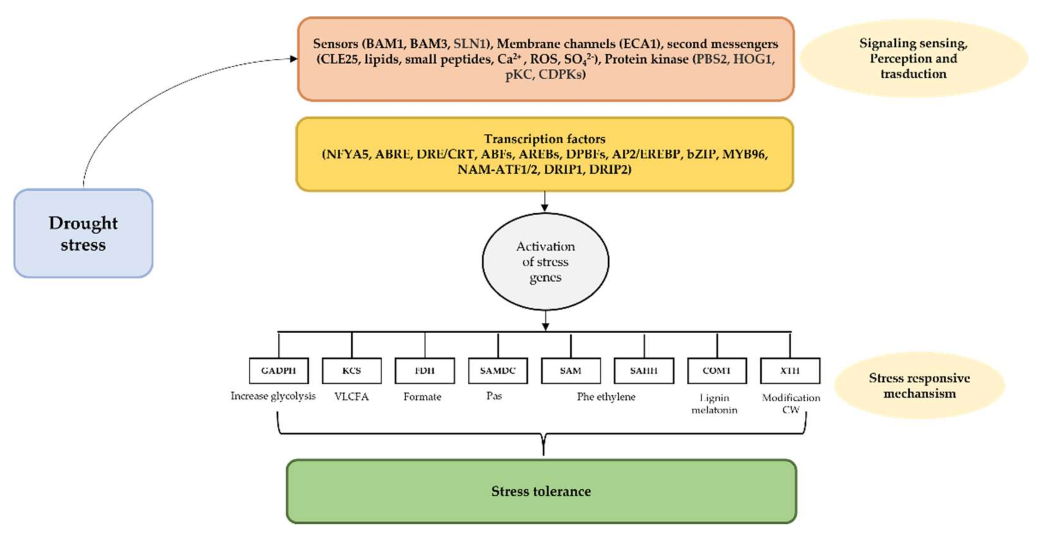 Forests 13 00159 g009