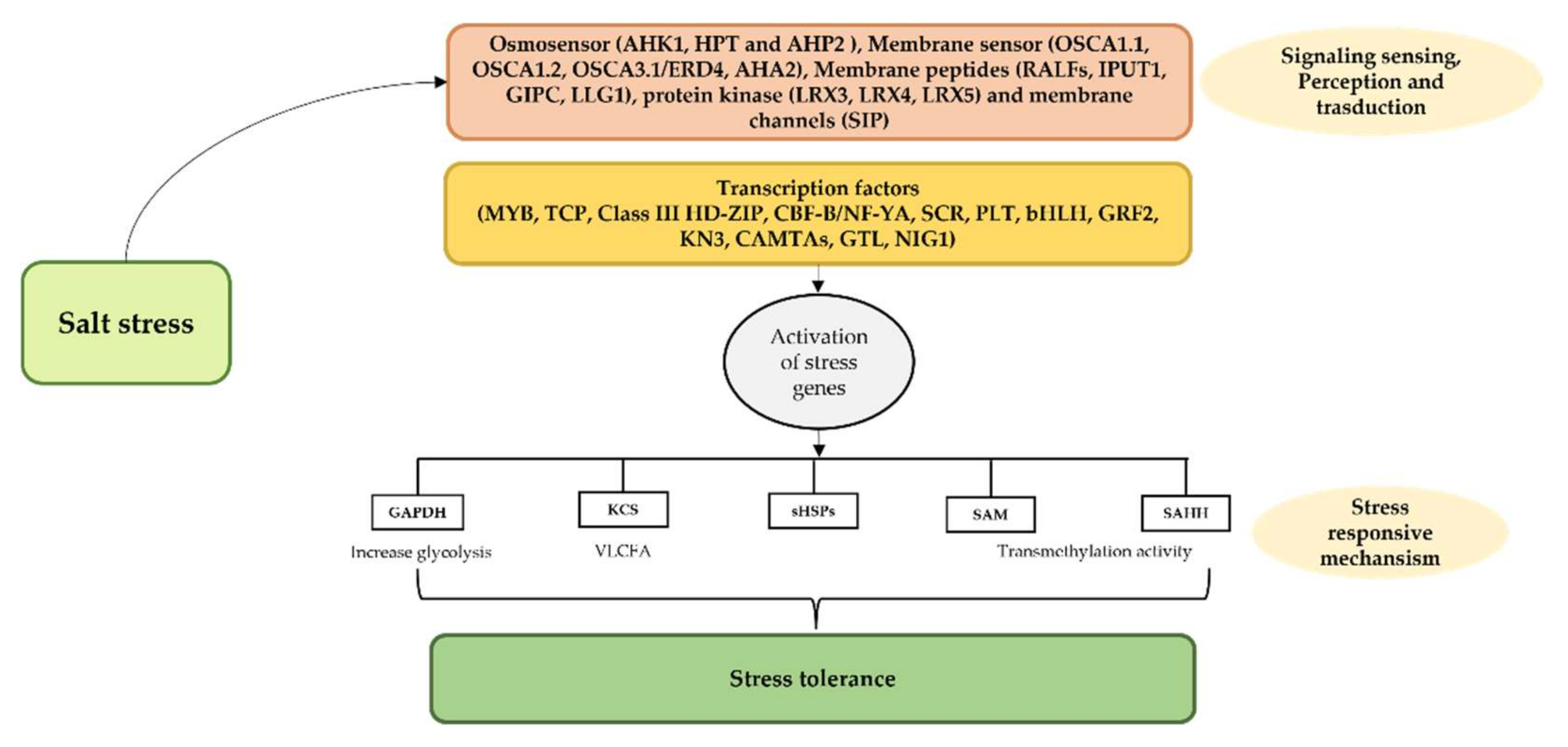 Forests 13 00159 g010